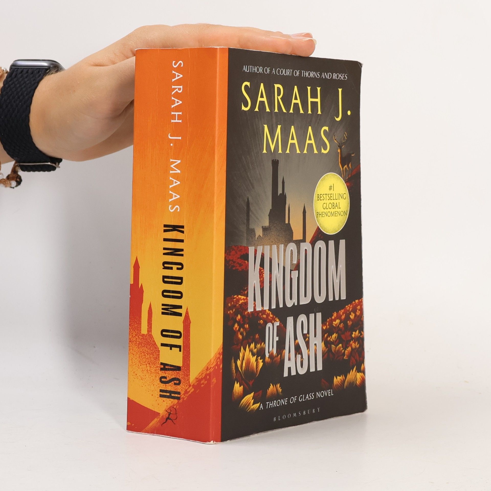 Sarah J. Maas Kingdom of Ash