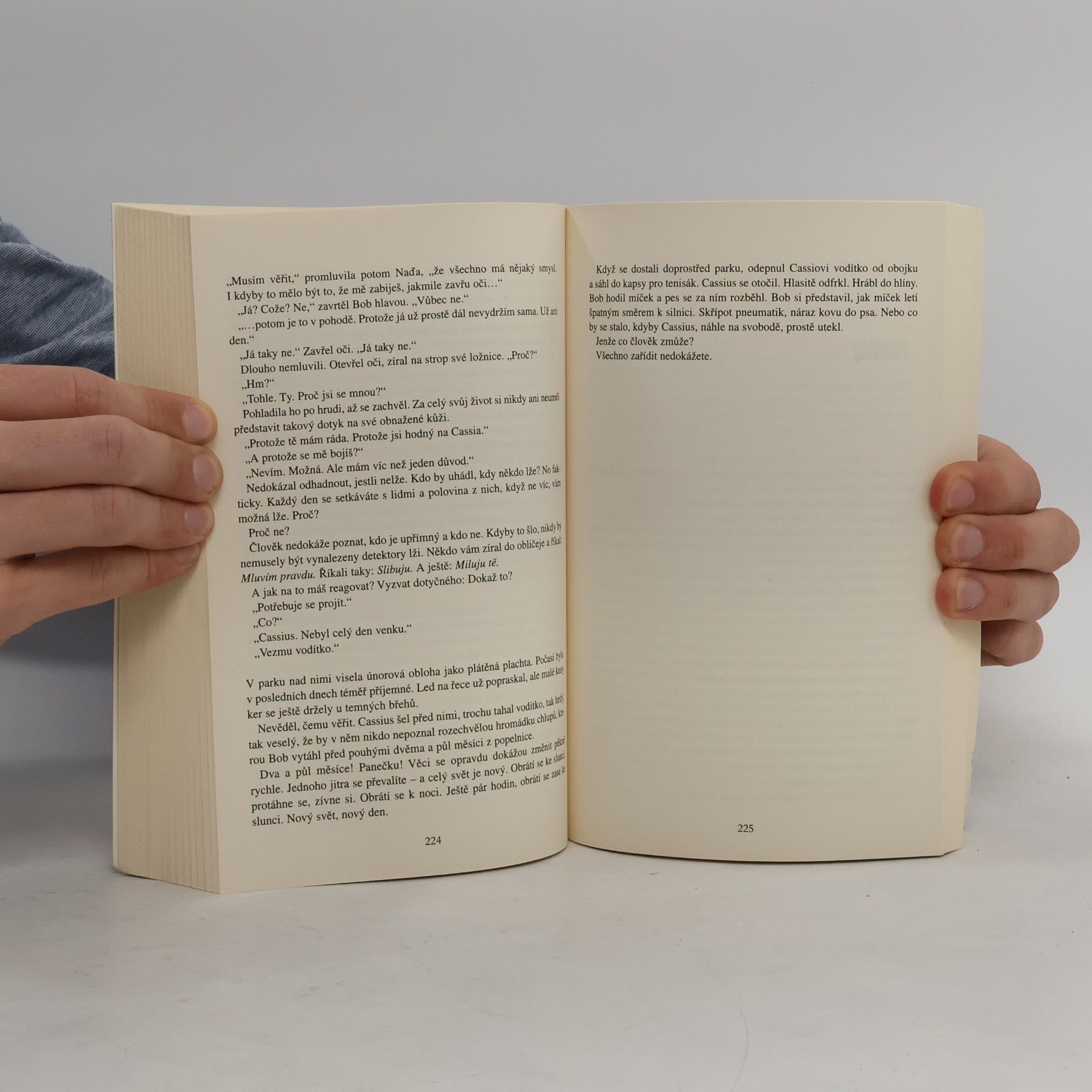 Lee Child Nejlepší americké detektivní povídky