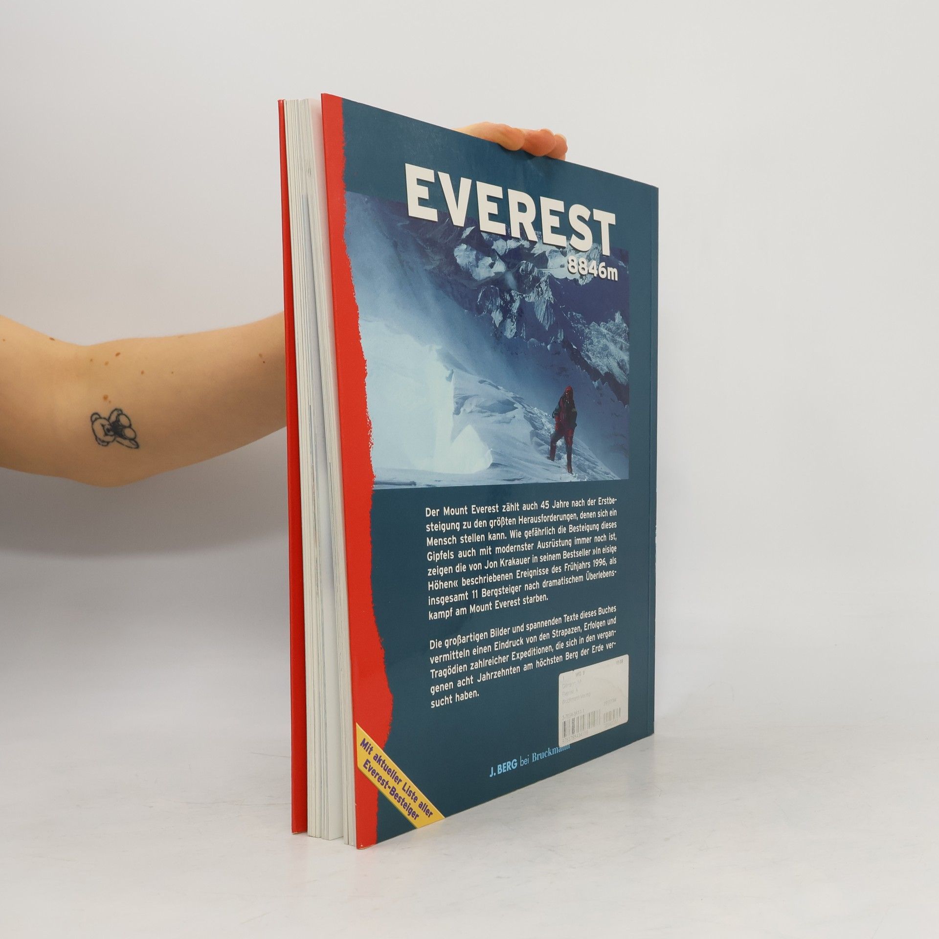 Peter Gillman Everest
