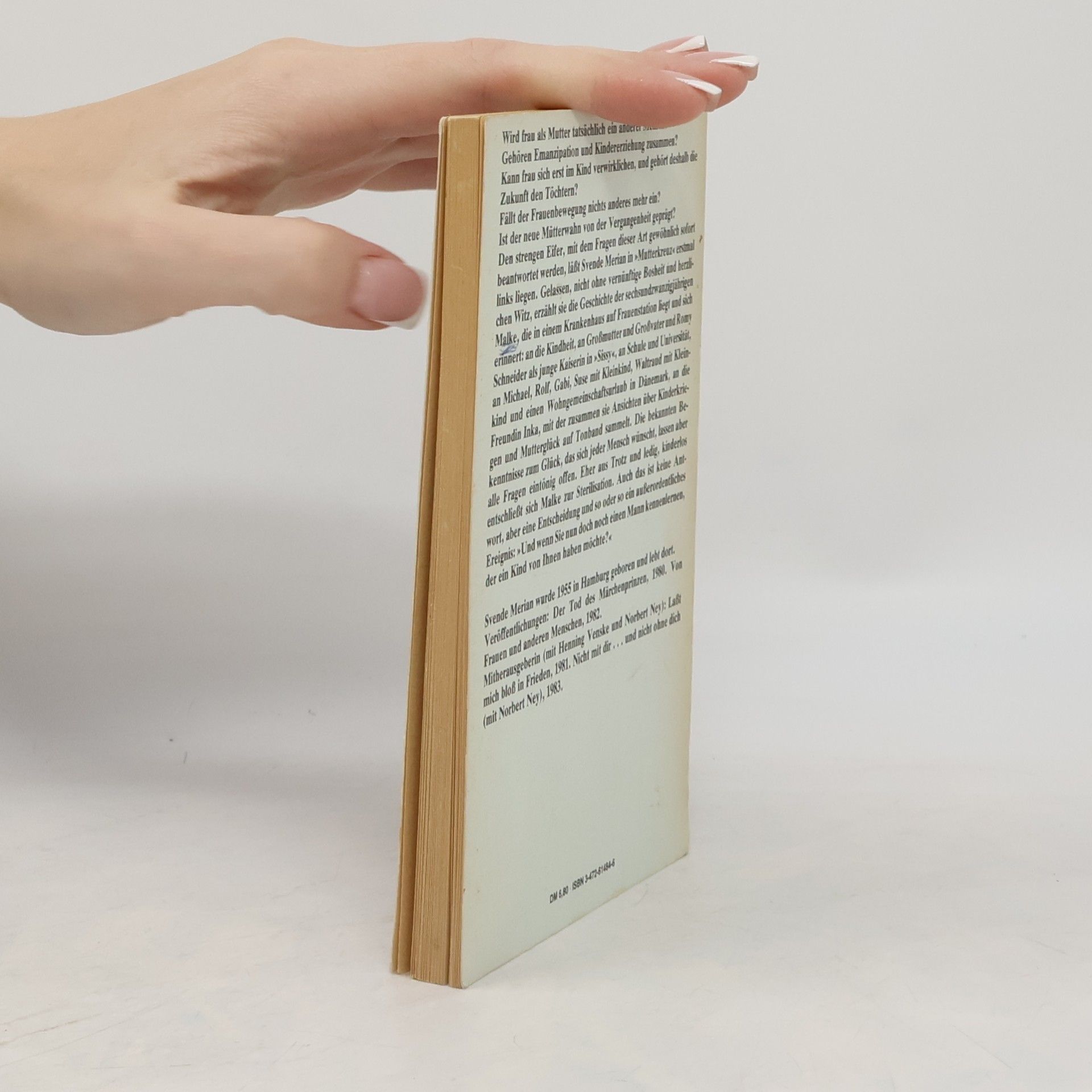 Svende Merian Sammlung Luchterhand - 484: Mutterkreuz
