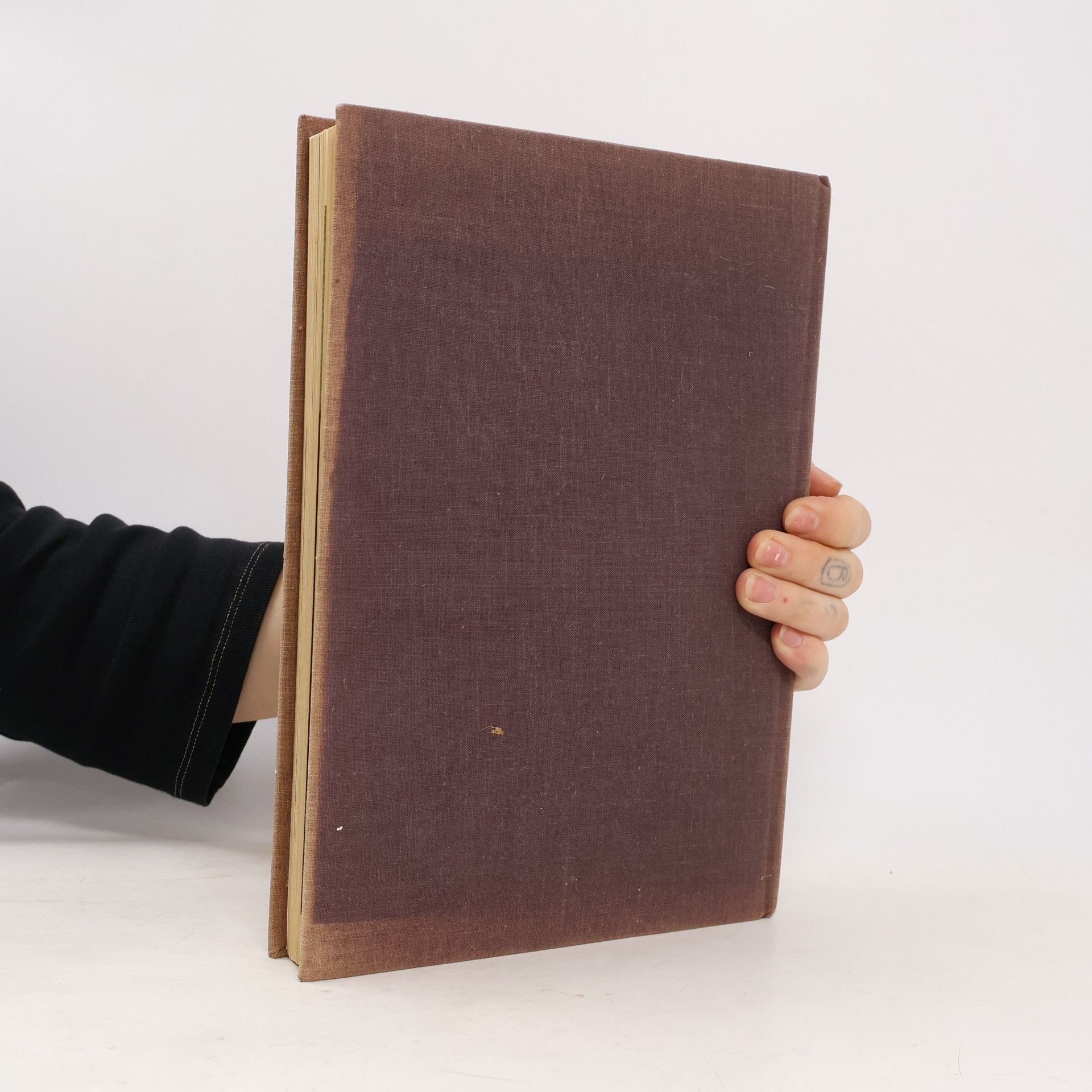 Nanina Comstock McCull's Encyclopedia of Needlework