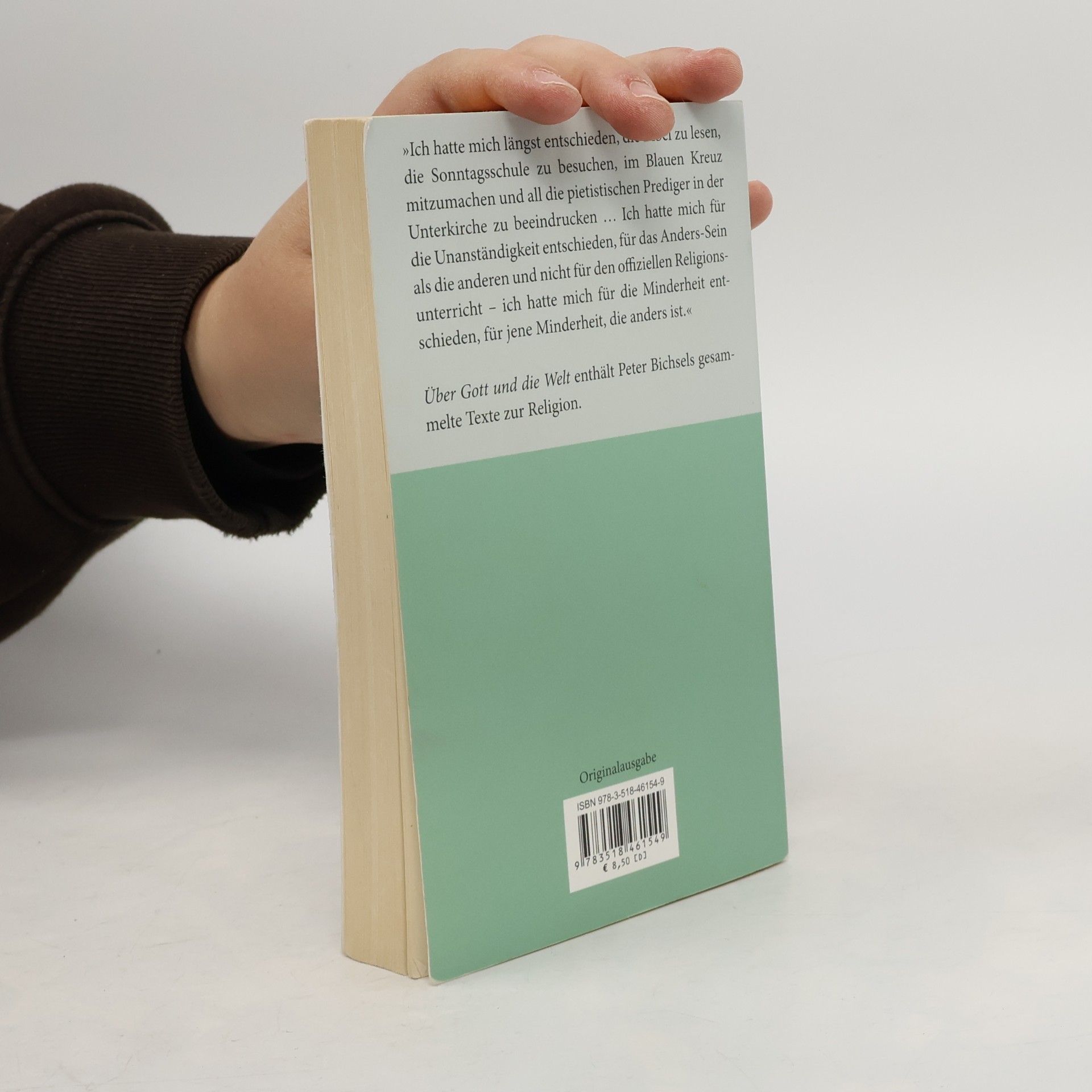 Peter Bichsel Über Gott und die Welt : Texte zur Religion