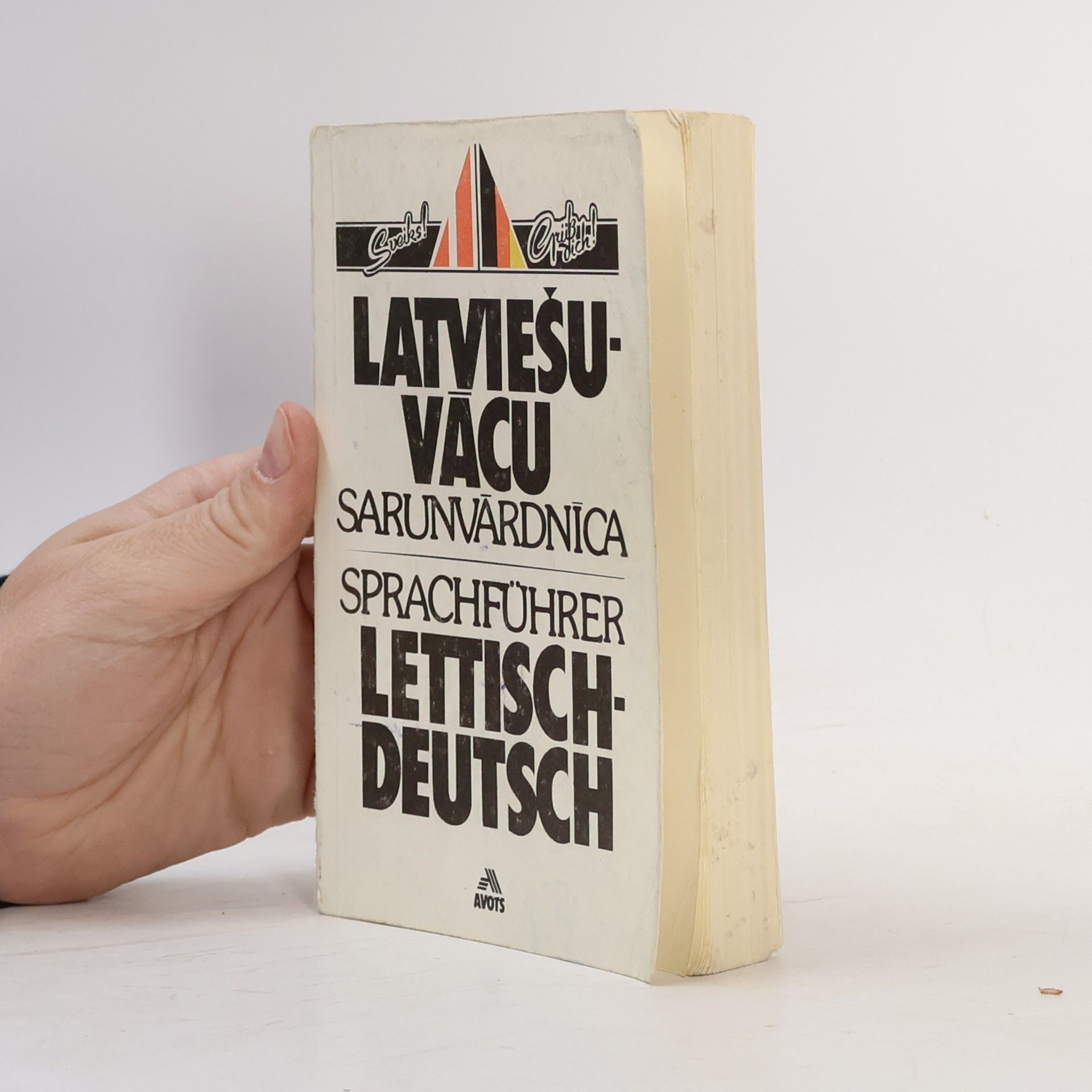 Ilga Brigzna Latviešu-vācu sarunvārdnīca. Sprachführer Lettisch-Deutsch