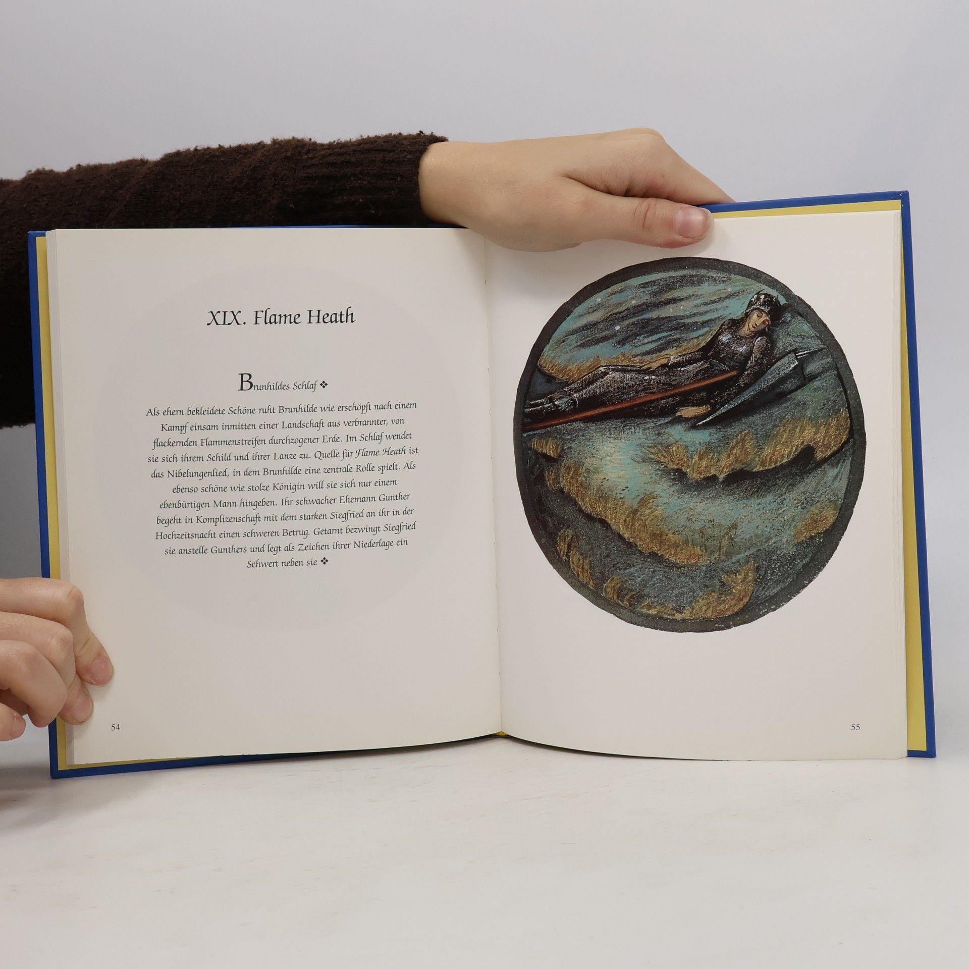 Sir Edward Jones The Flower Book