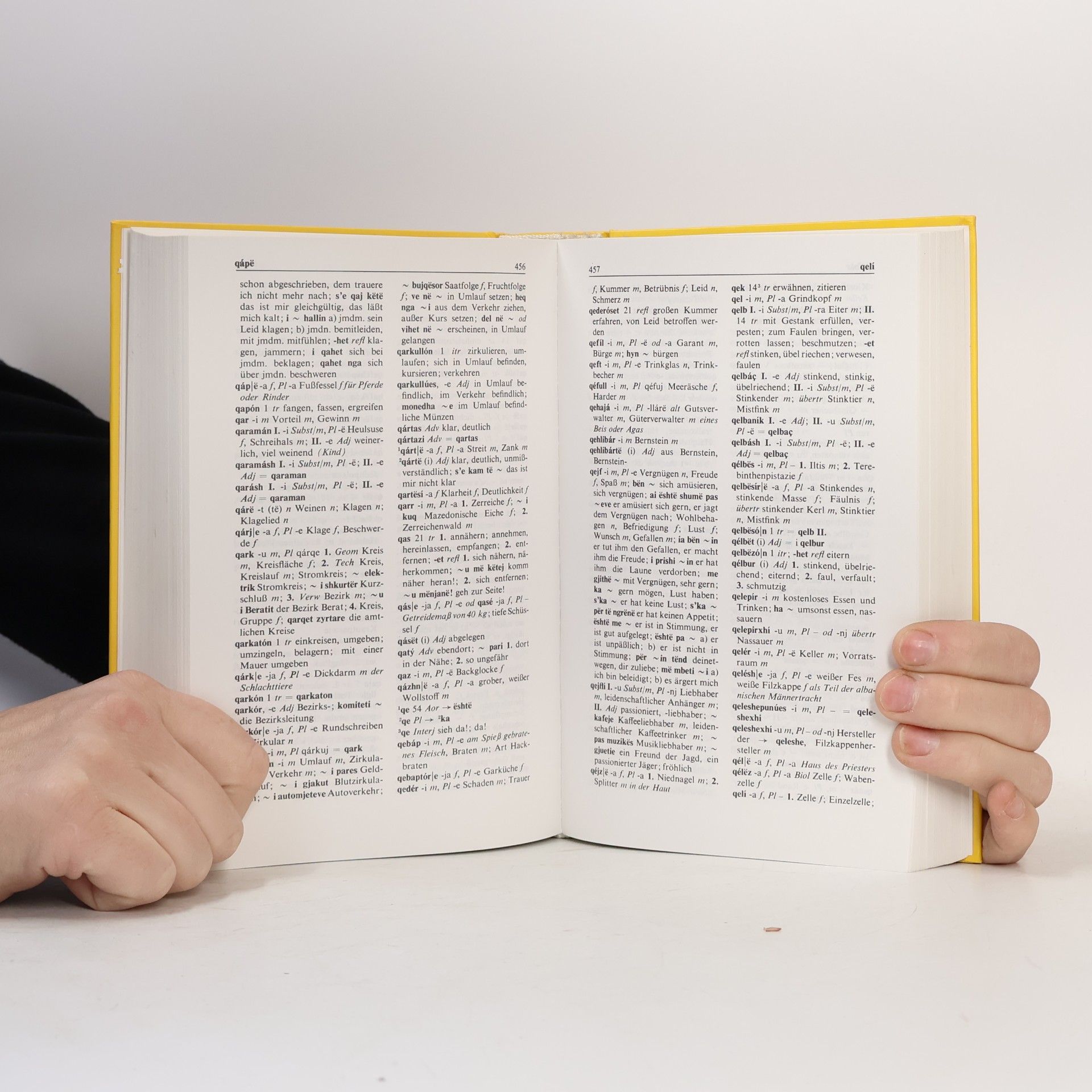 Oda Buchholz Wörterbuch Albanisch - Deutsch