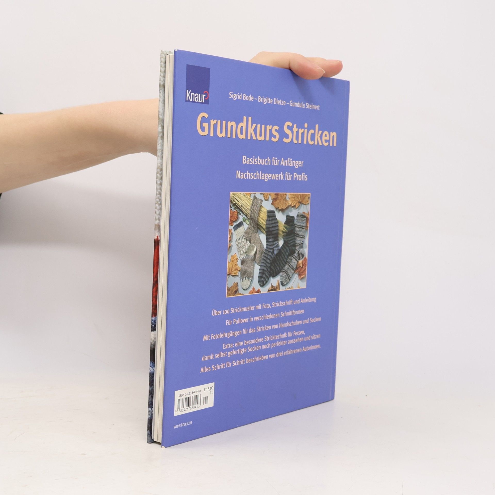 Brigitte Dietze Grundkurs Stricken