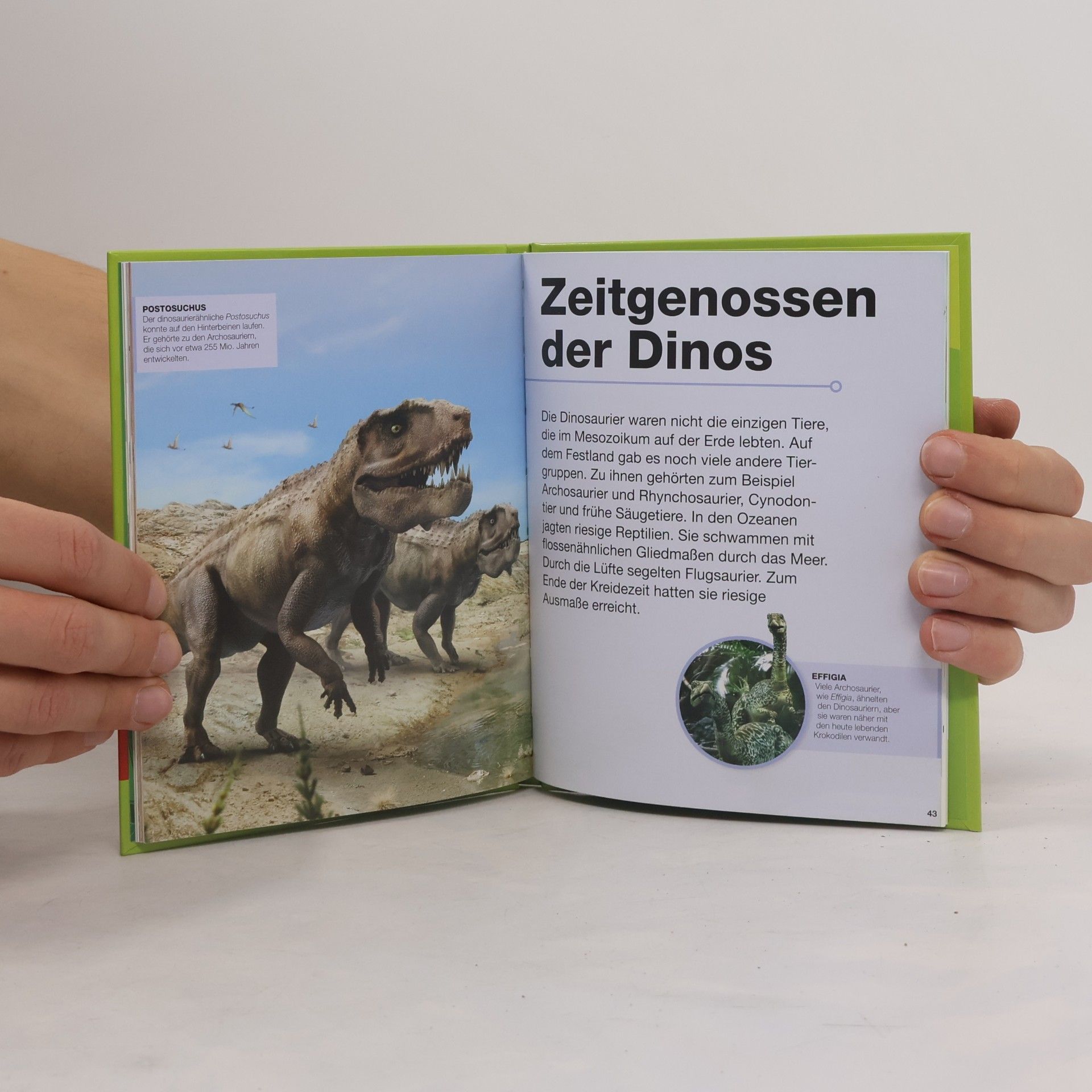 Angelika Sust Dinosaurier