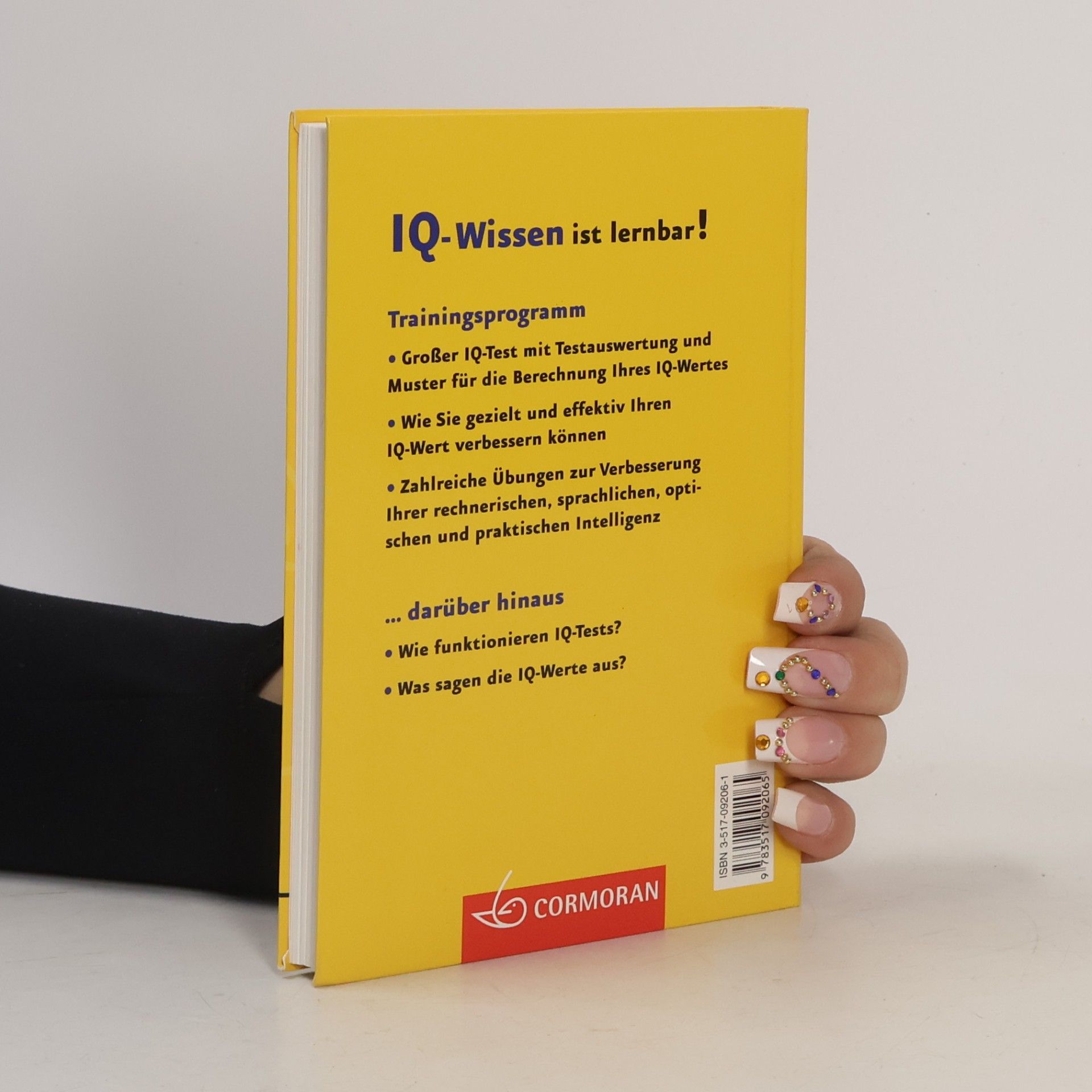 Autorenkollektiv Der kleine IQ-Trainer