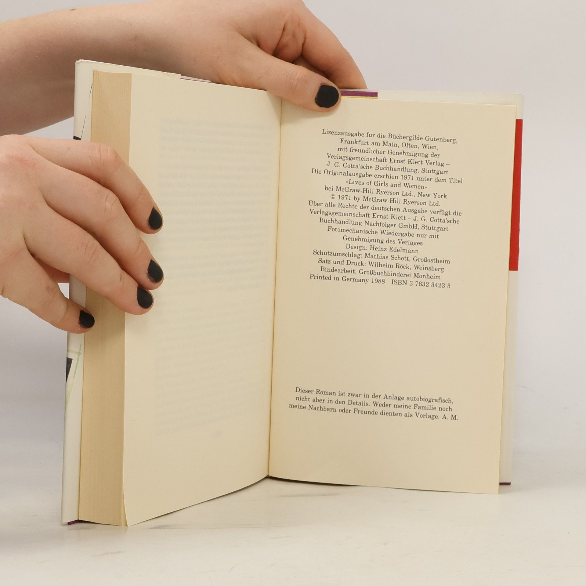 Alice Munro Kleine Aussichten