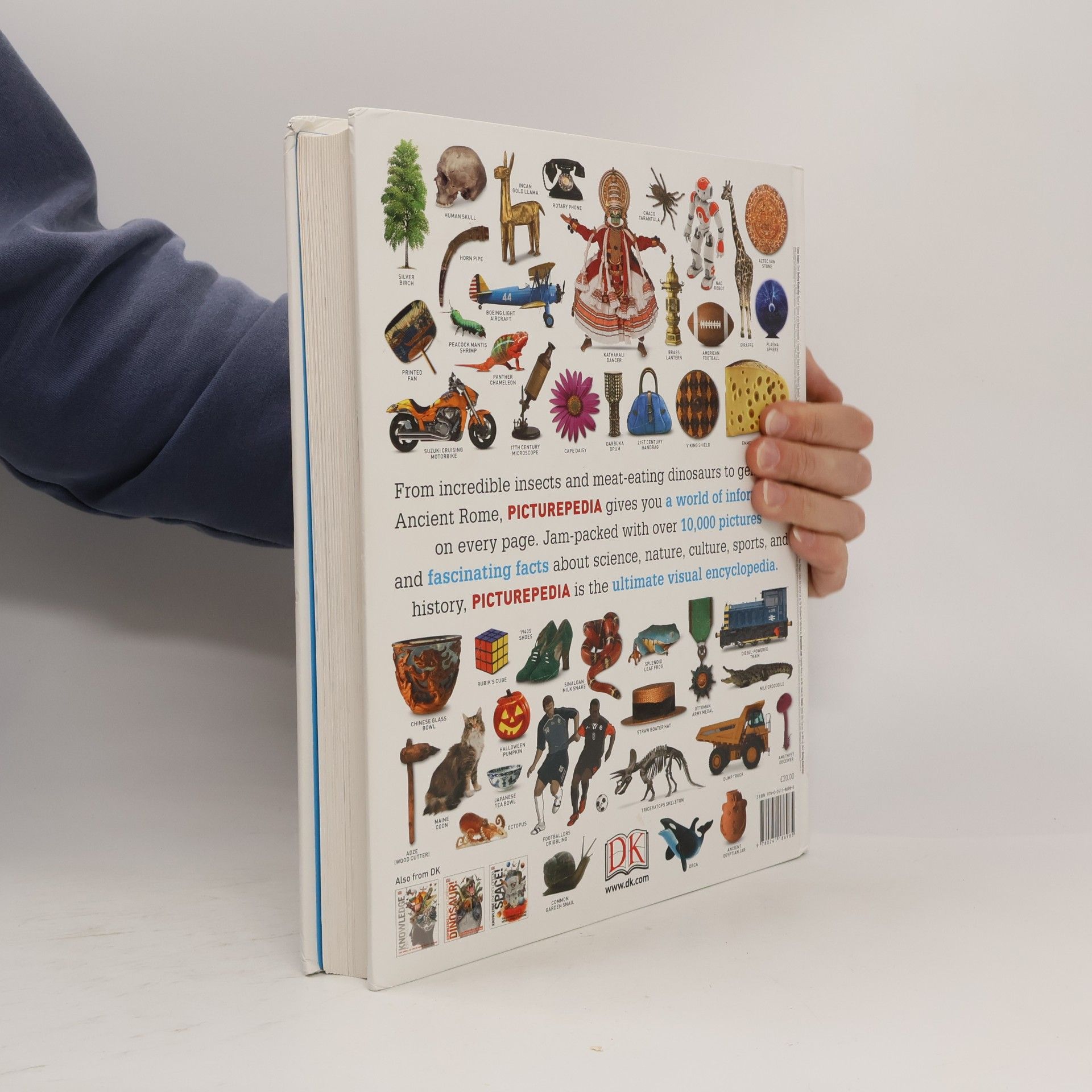 Various authors Picturepedia