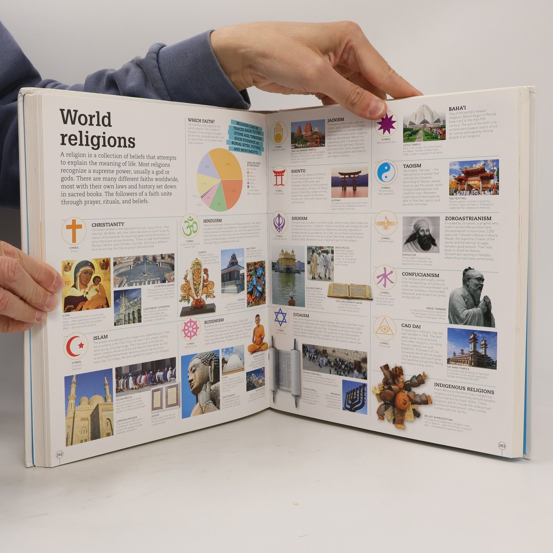 Various authors Picturepedia