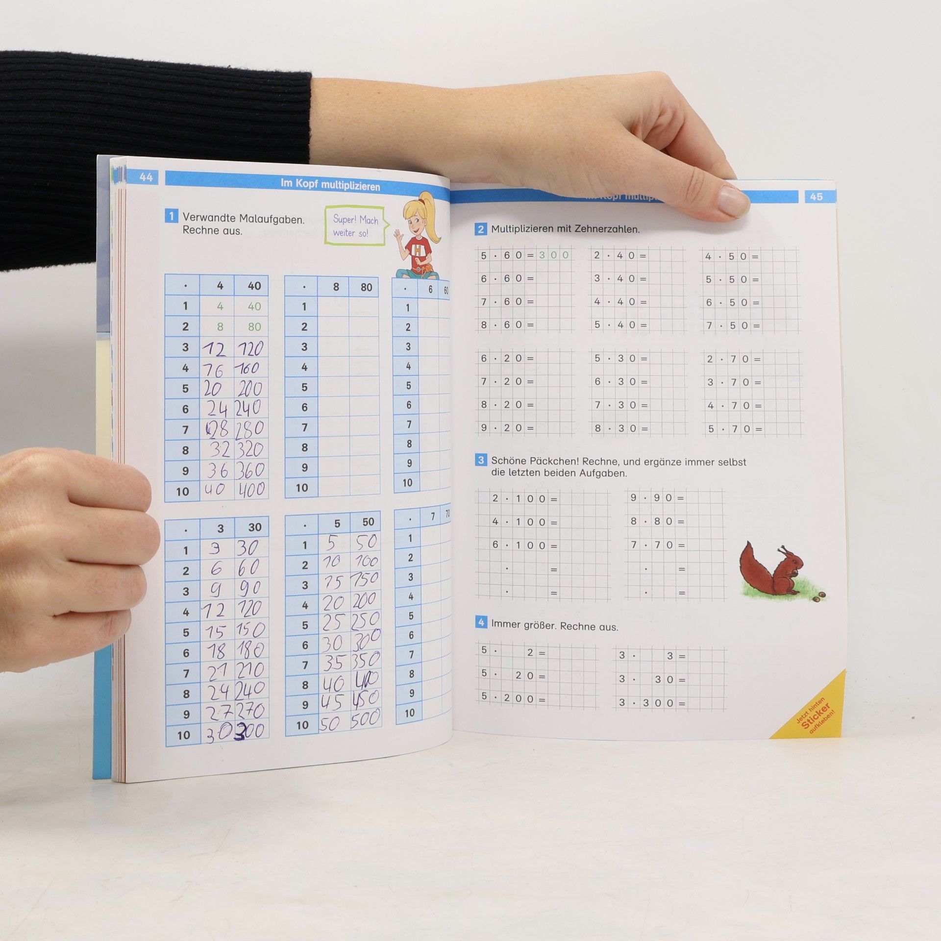 Barbara Geßner Die Mathe-Helden - 3: Das große Übungsbuch für Mathe-Helden