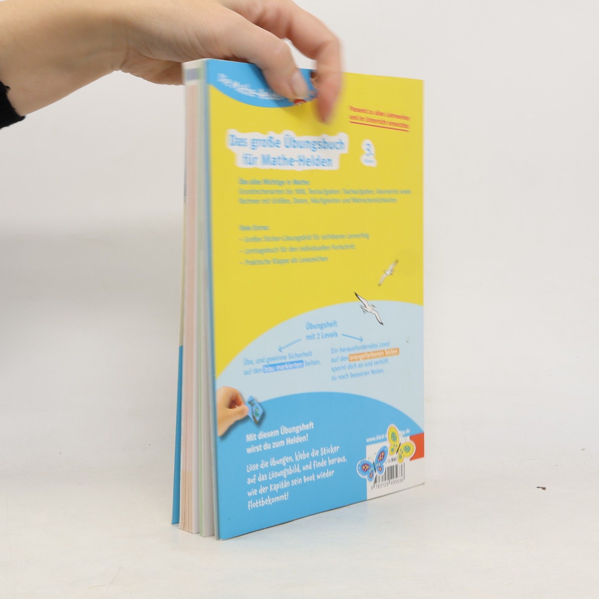 Barbara Geßner Die Mathe-Helden - 3: Das große Übungsbuch für Mathe-Helden