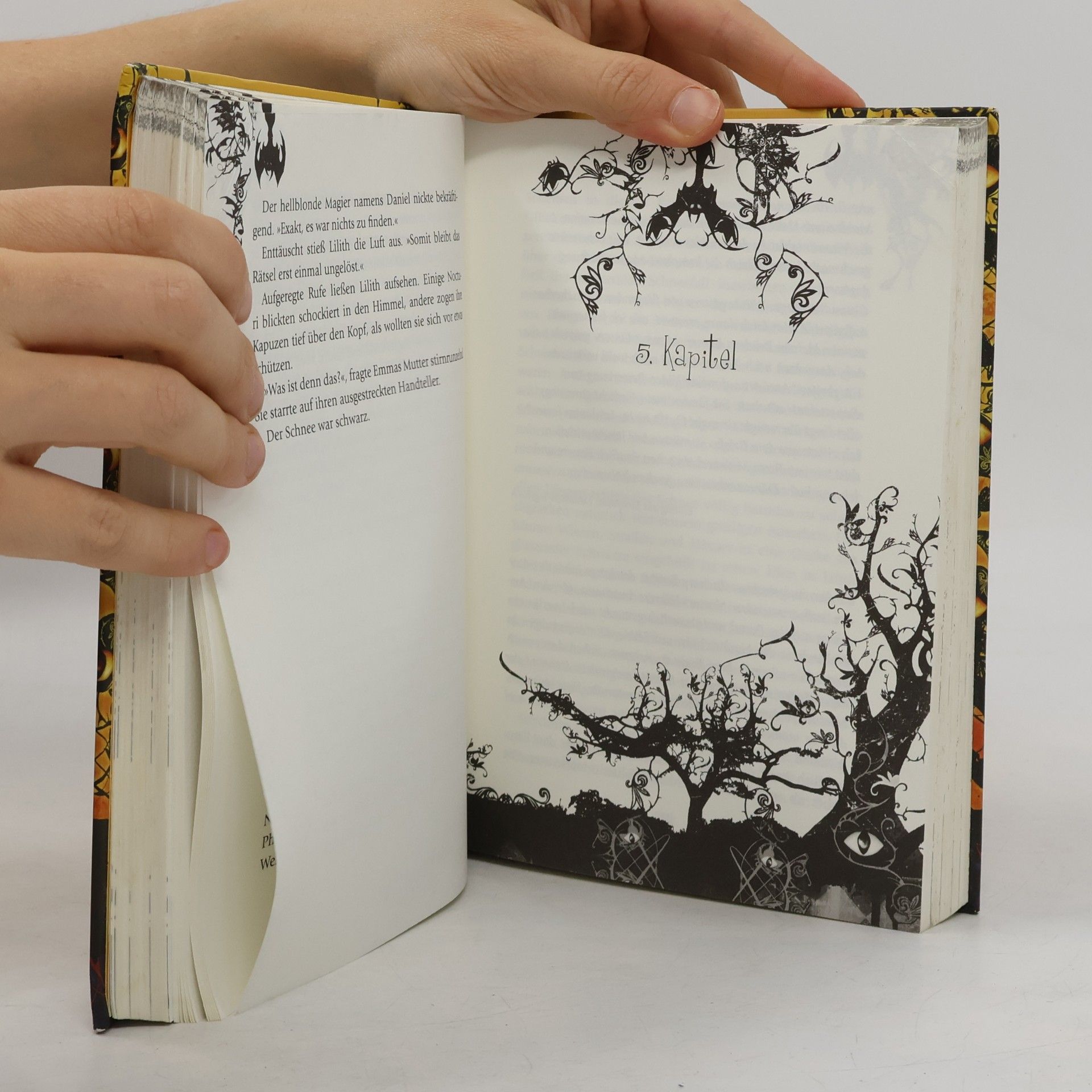 Janine Wilk Lilith Parker und die Rache der Dämonen