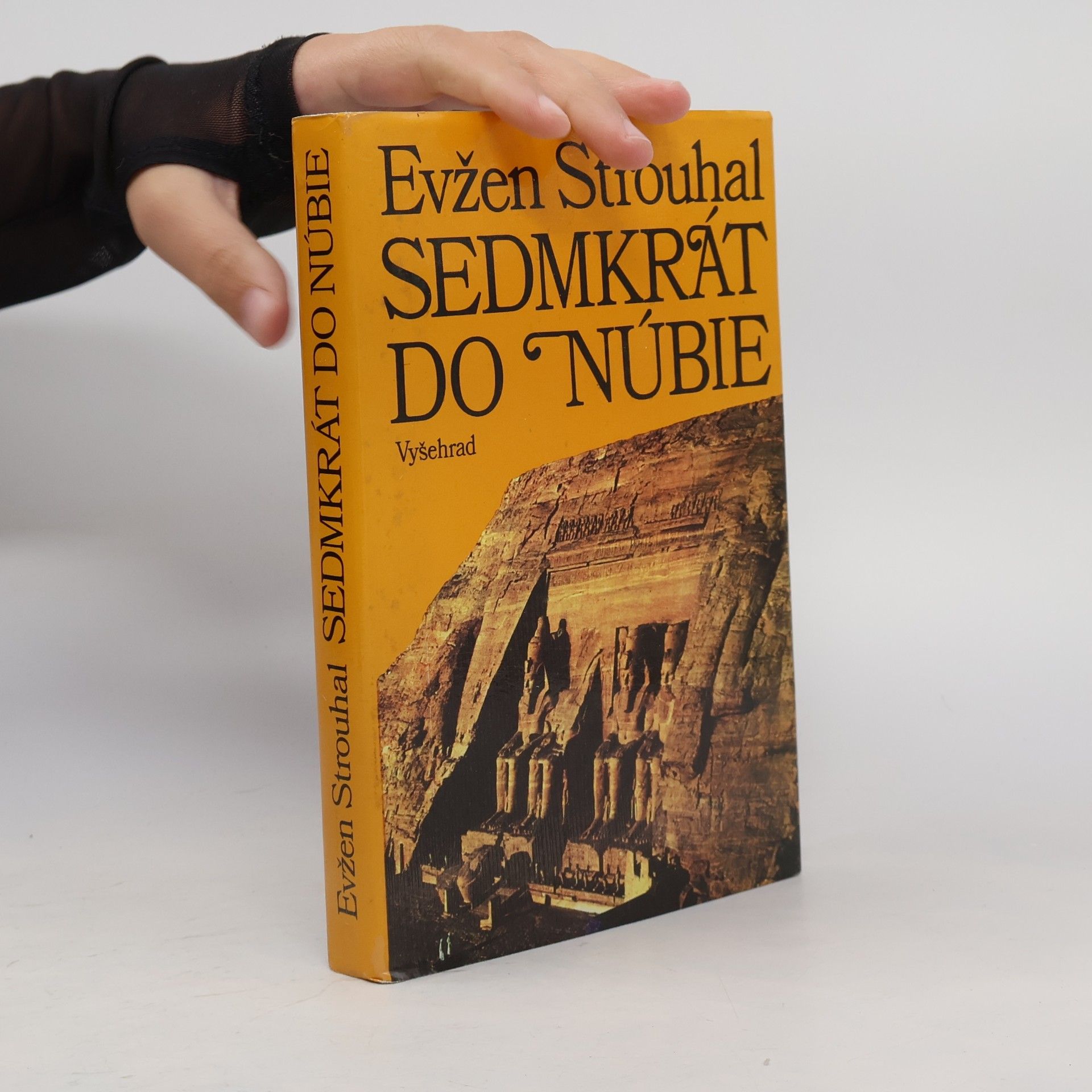 Sedmkrát do Núbie