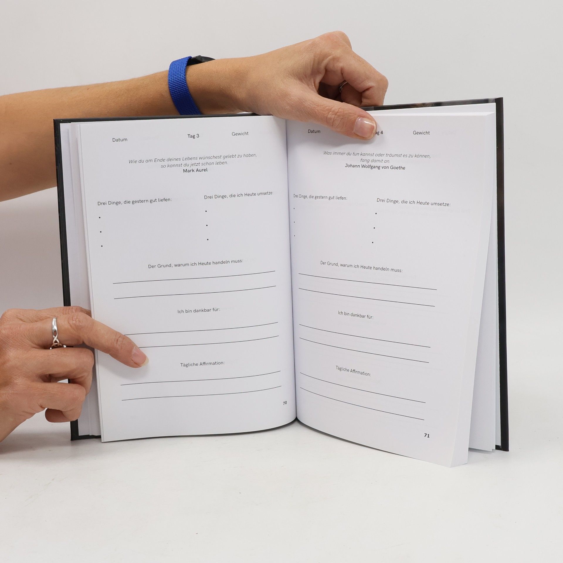 Sjard Roscher Die 90 Tages Challenge. Das Workbook