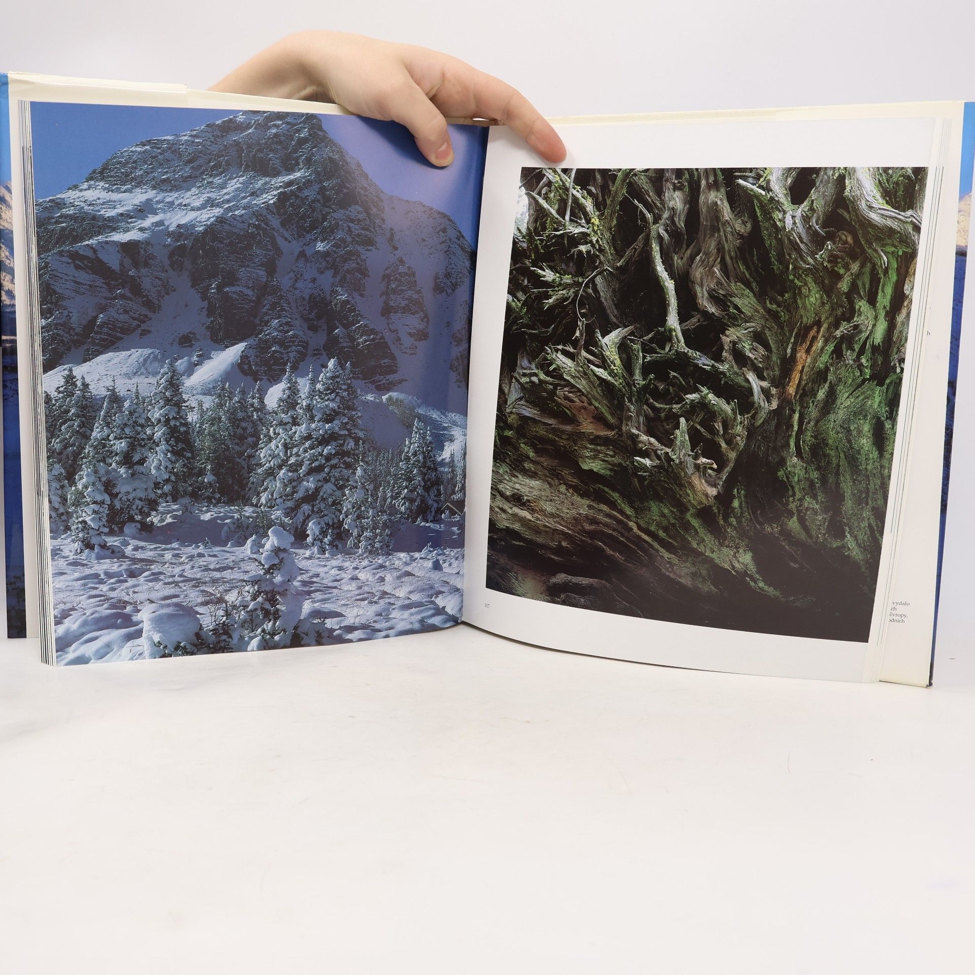 Takashi Iwahashi Skalnaté hory = Rocky Mountains