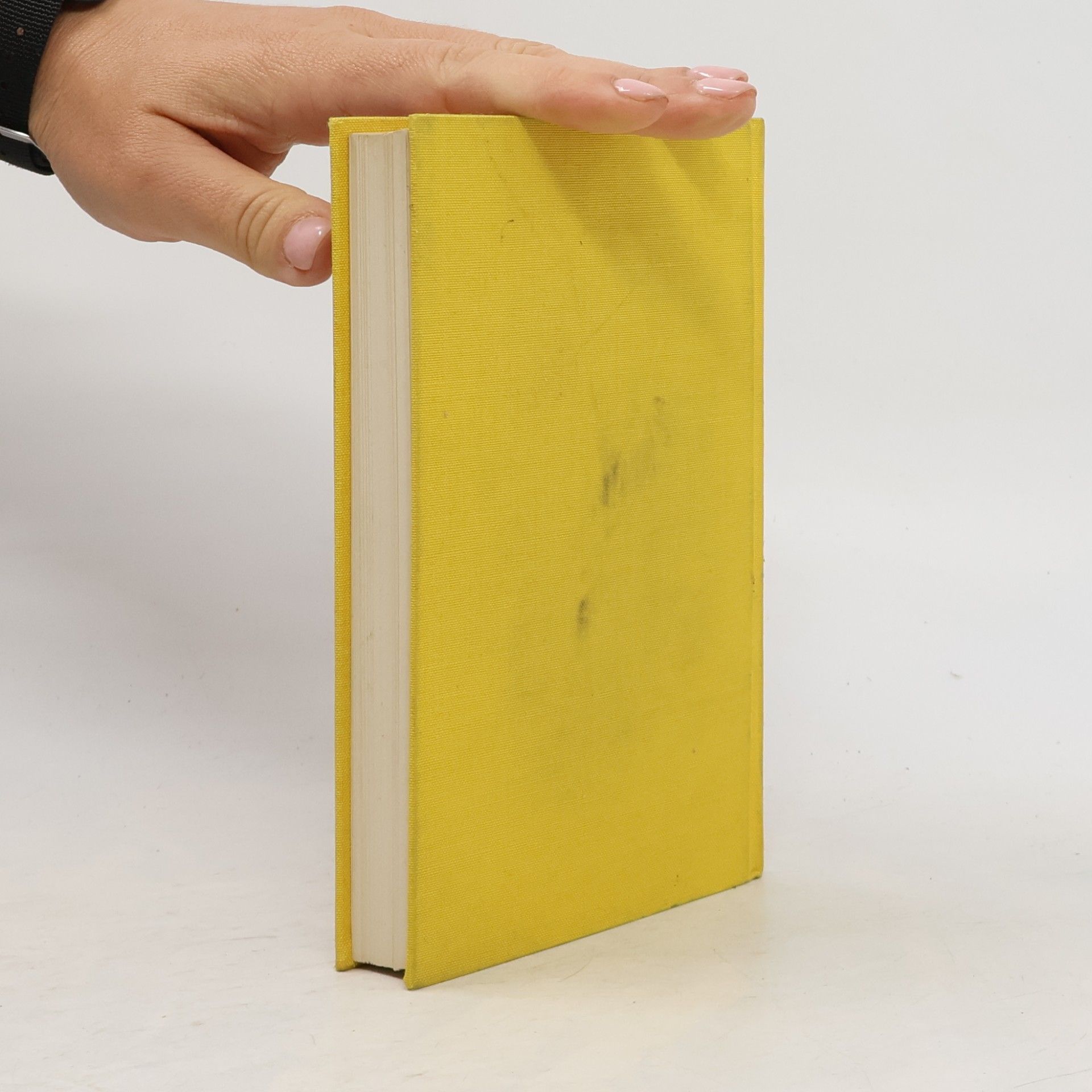 Brüder Goncourt Tagebuch der Brüder Goncourt 1870/71