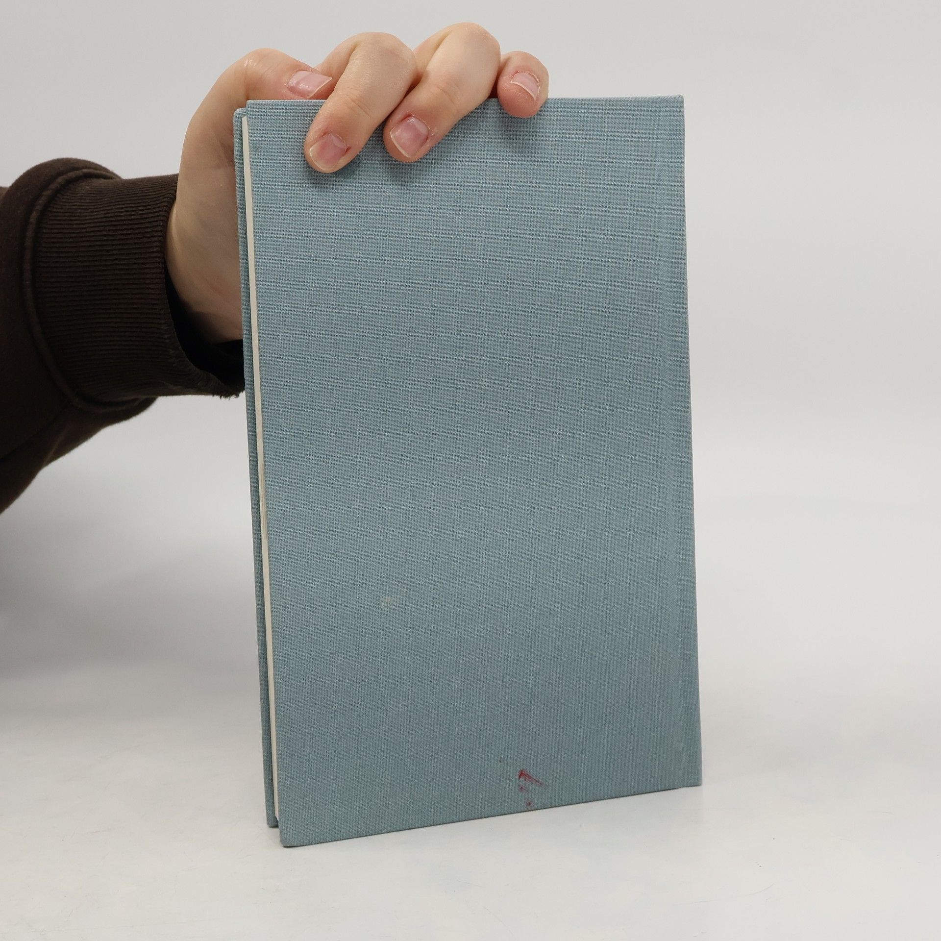 Dominik Spenst The 6-minute diary