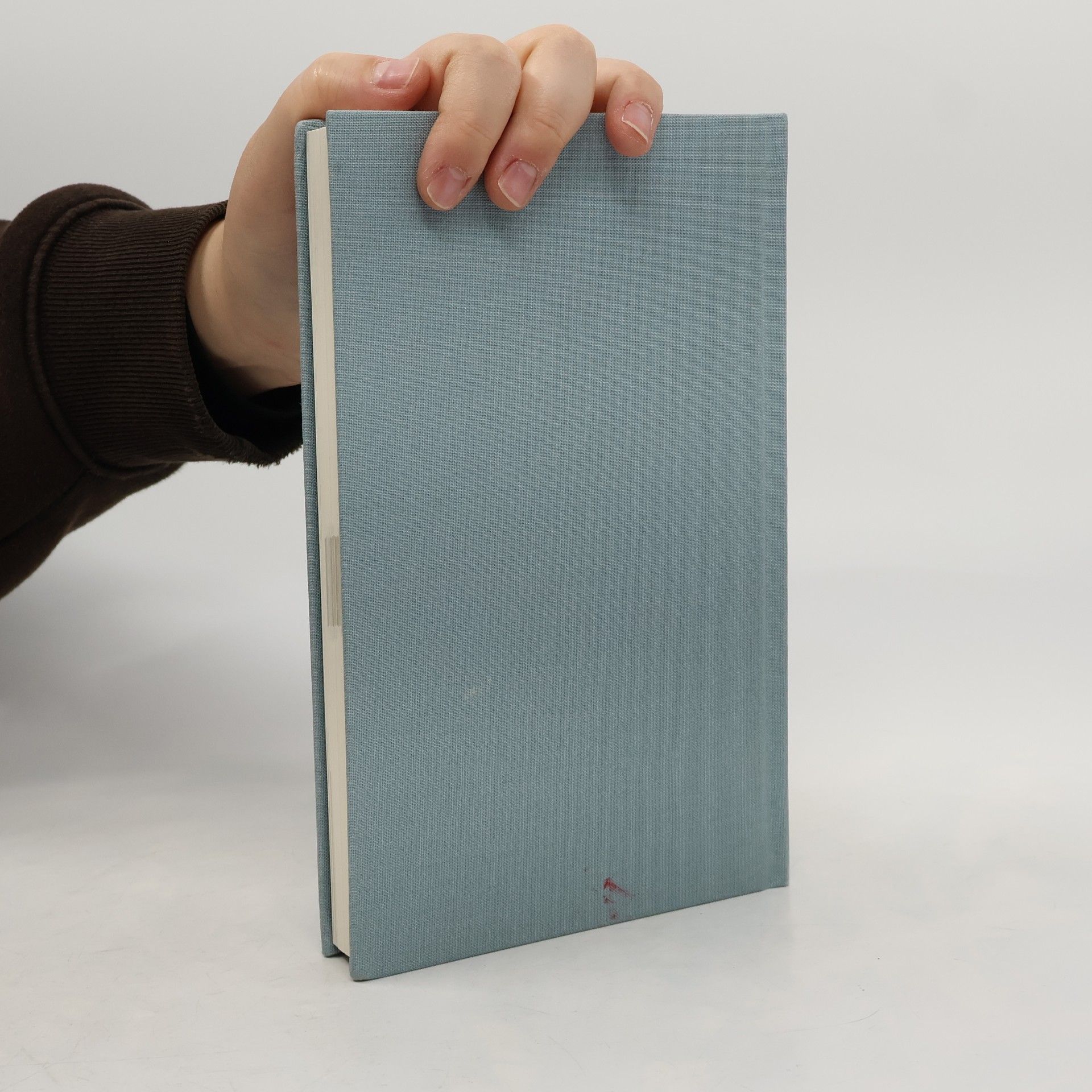 Dominik Spenst The 6-minute diary