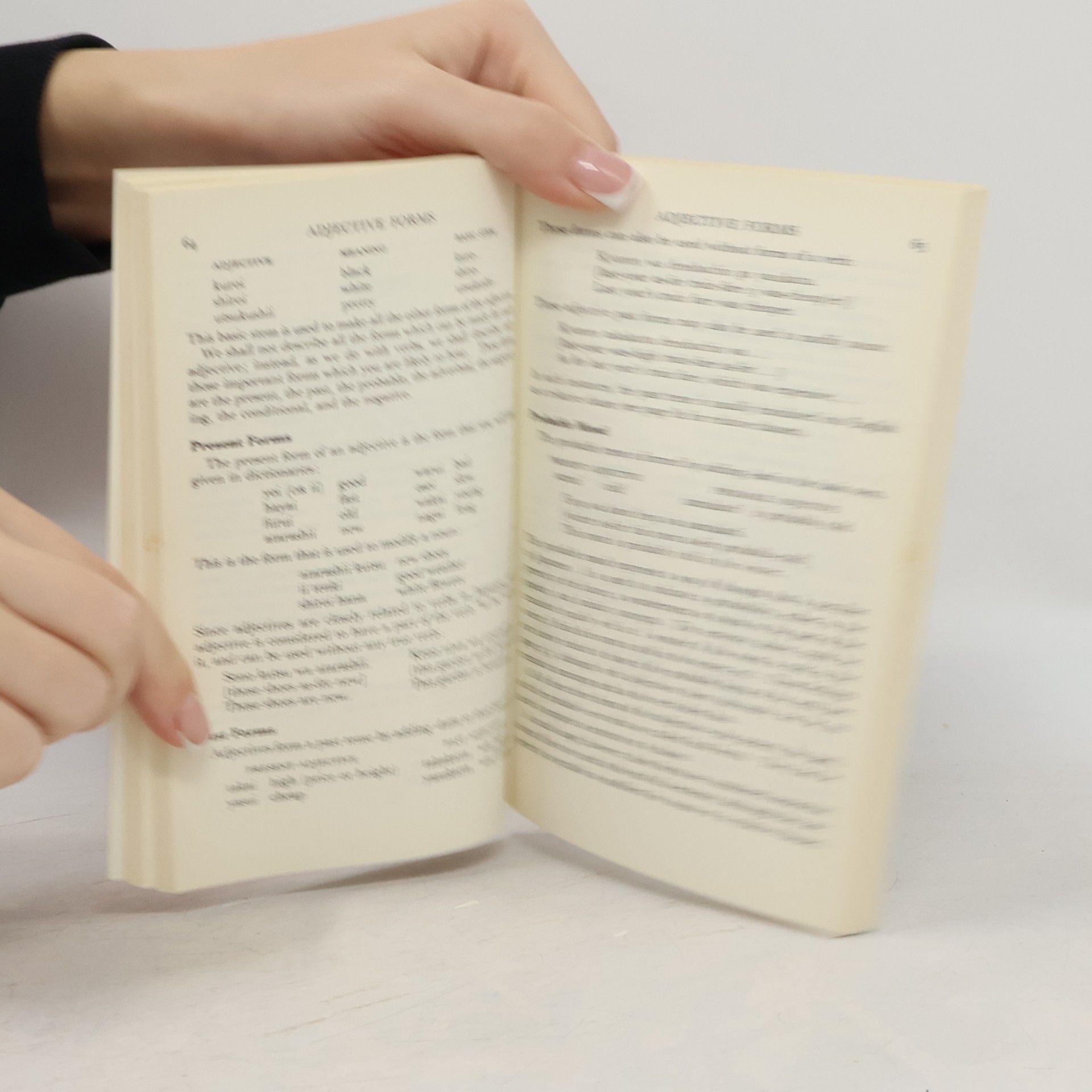 Everett F. Bleiler Basic Japanese Grammar