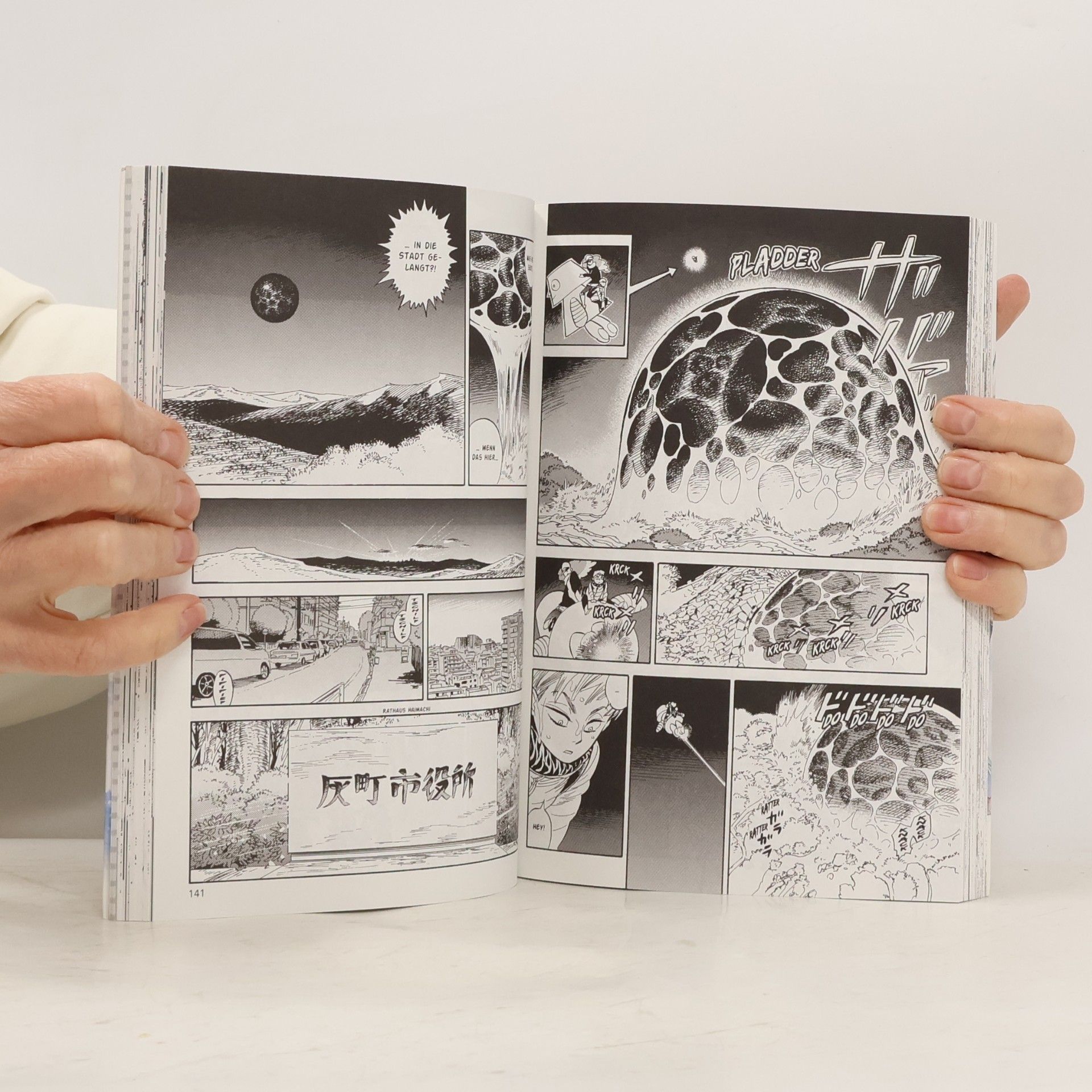 Aki Irie Ran und die graue Welt 5