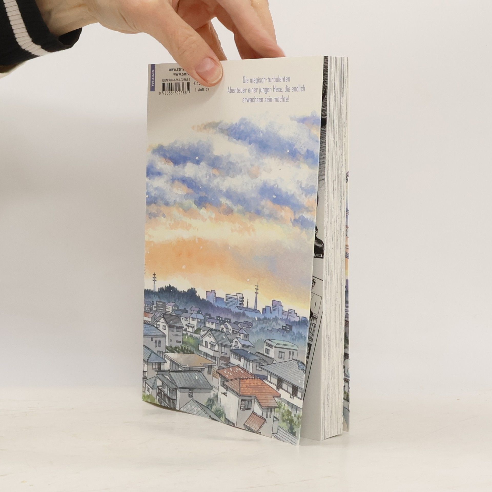 Aki Irie Ran und die graue Welt 6