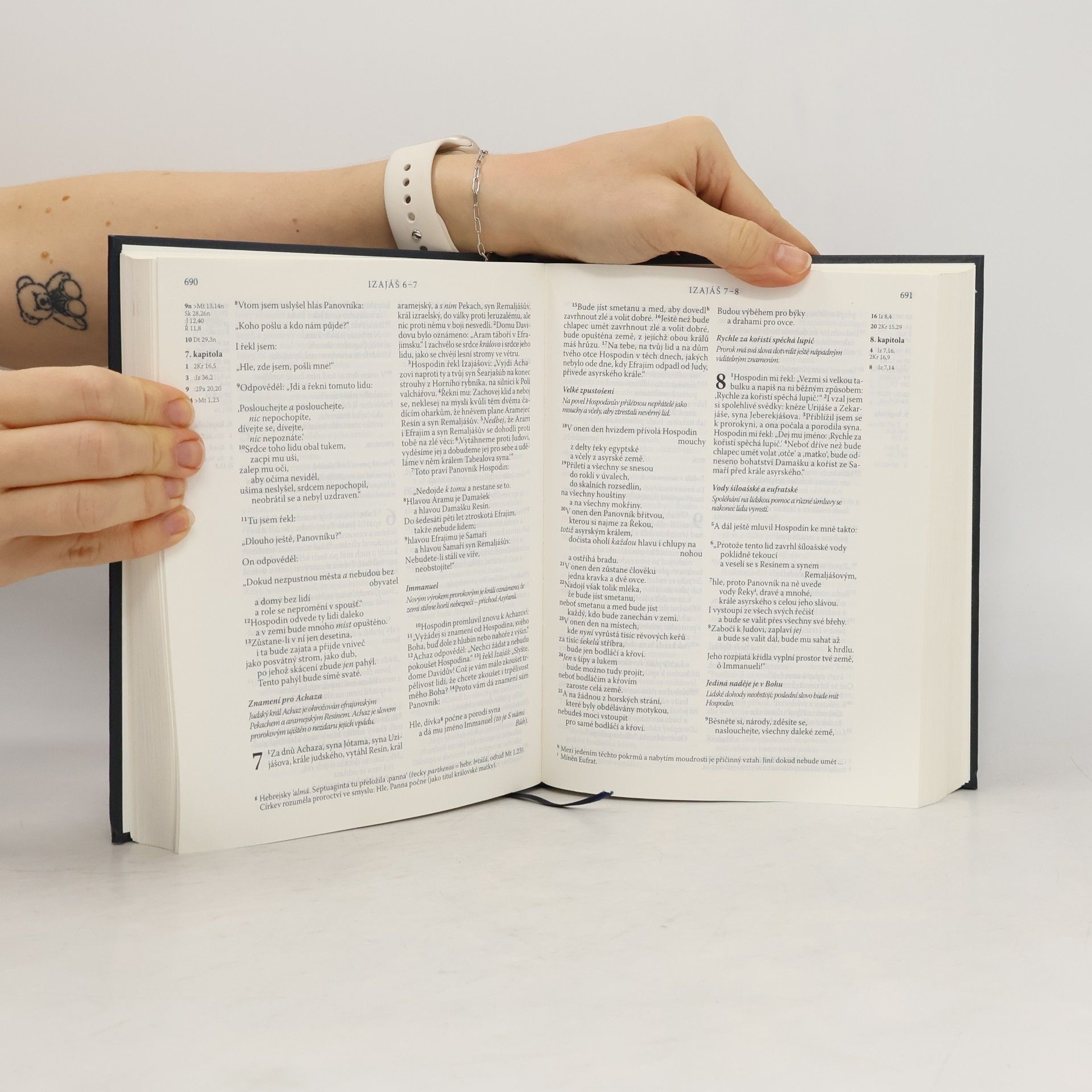Kolektiv autorů Bible : Písmo svaté Starého a Nového zákona