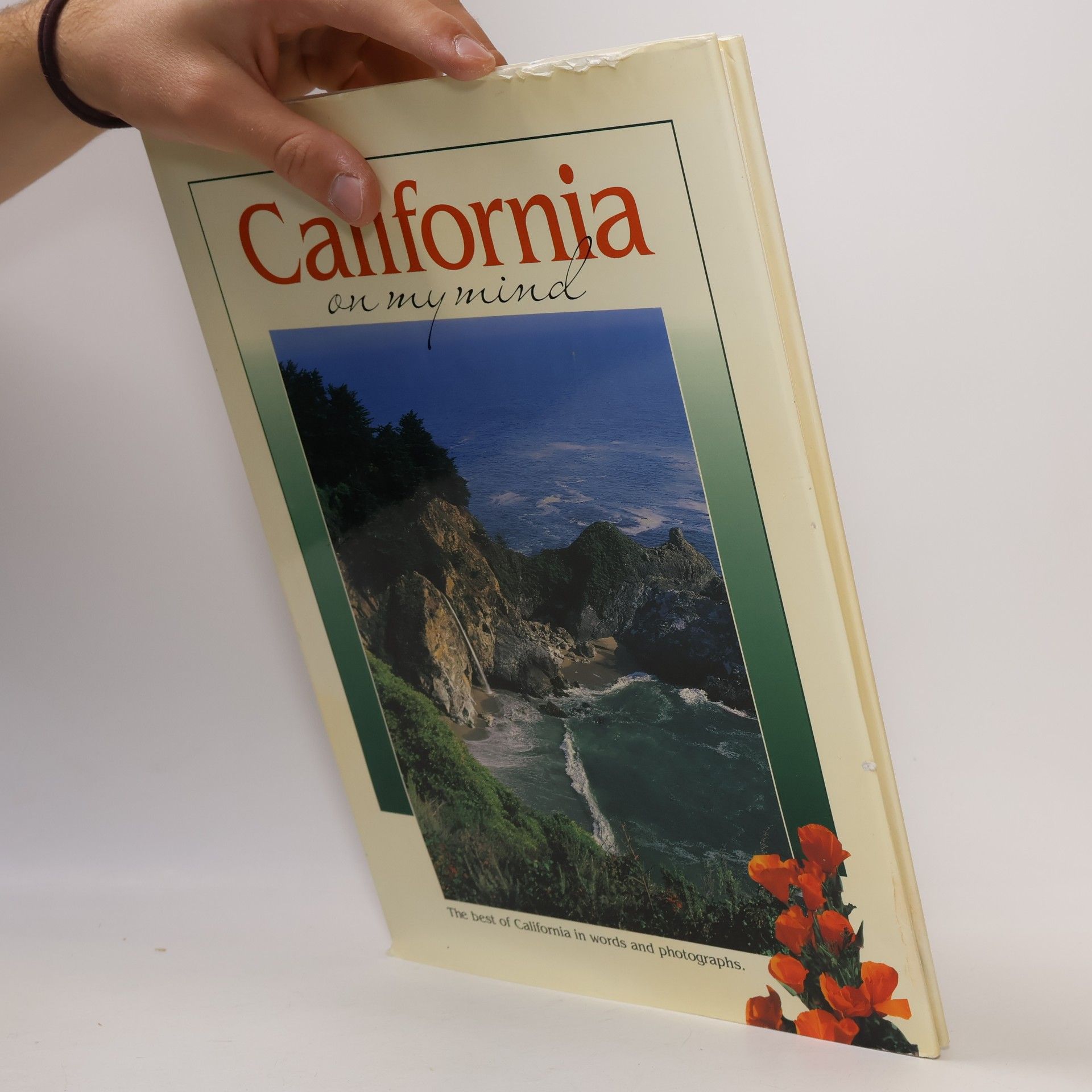 Kolektiv autorů California on my mind California