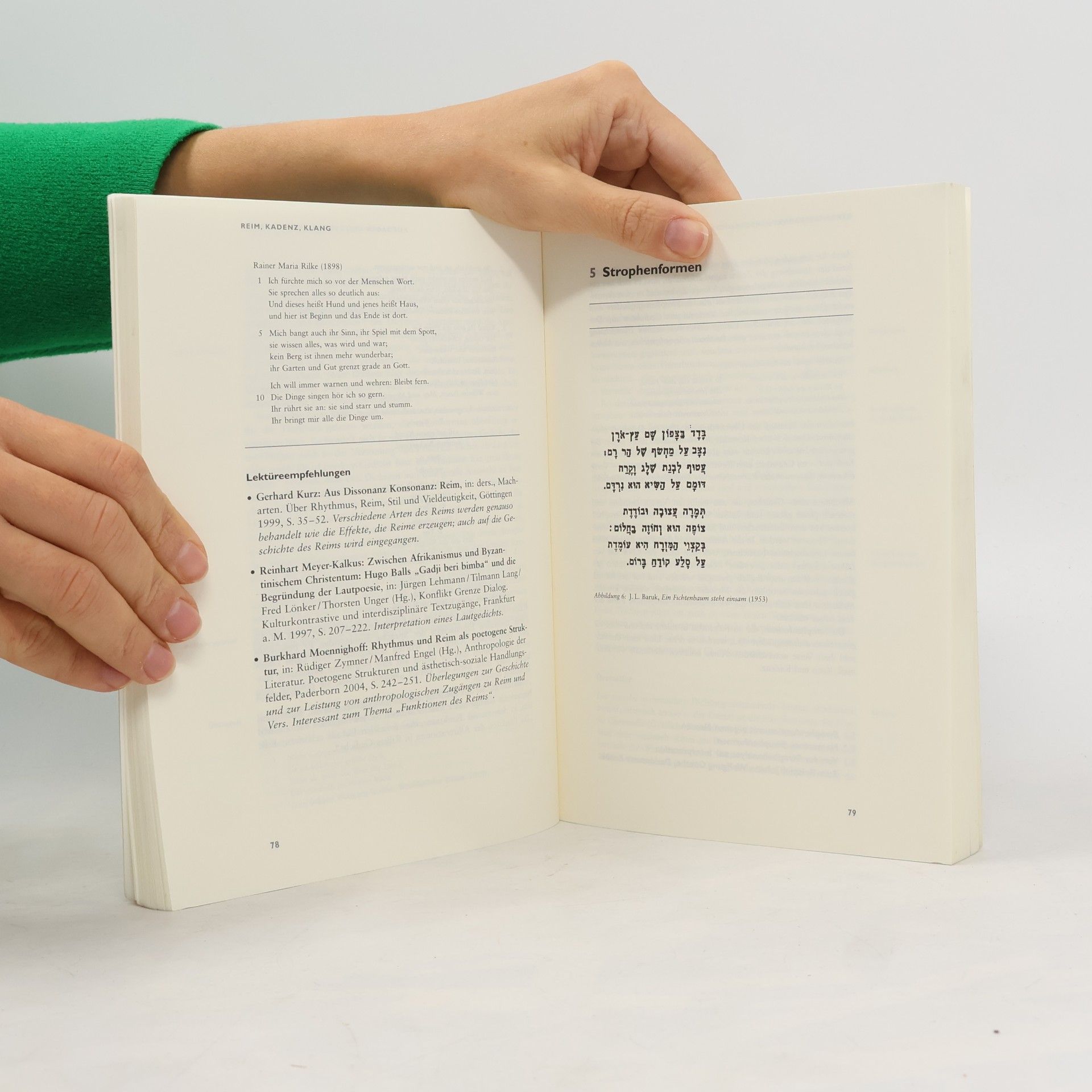 Kristin Felsner Arbeitsbuch Lyrik