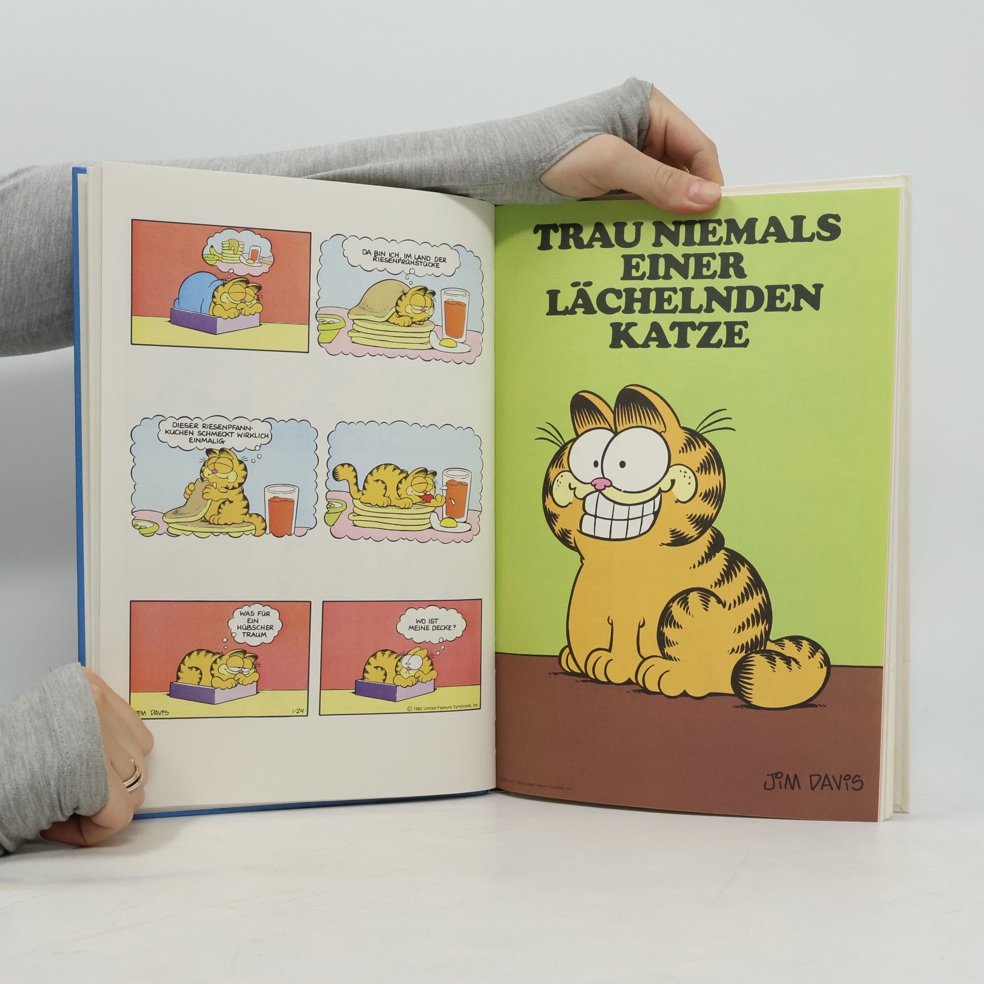 Jim Davis Die Garfield Revue