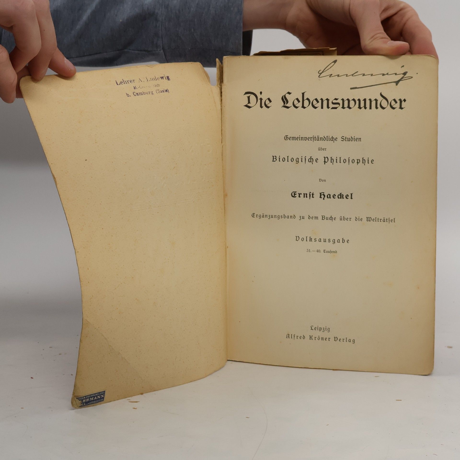 Ernst Haeckel Die Lebenswunder