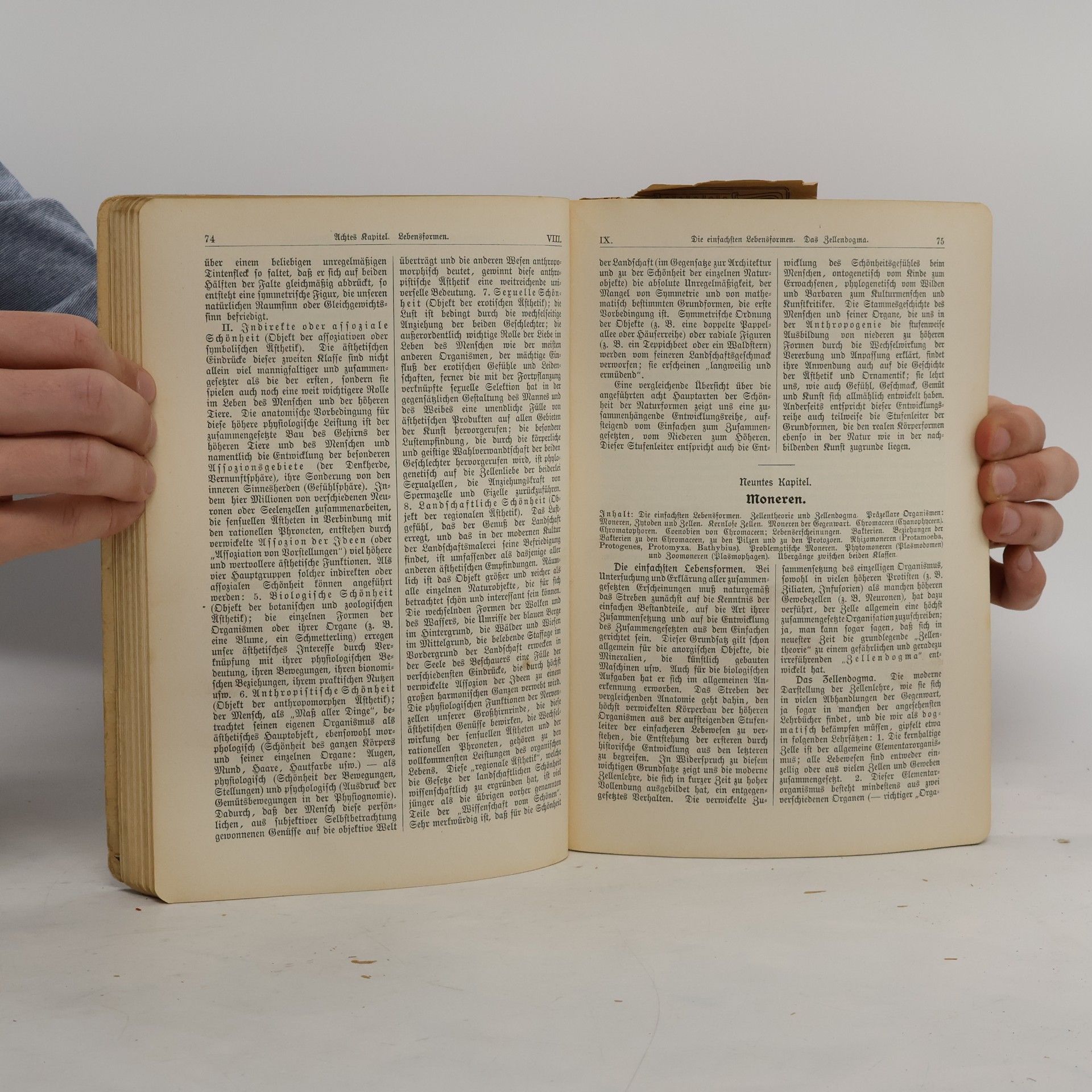 Ernst Haeckel Die Lebenswunder