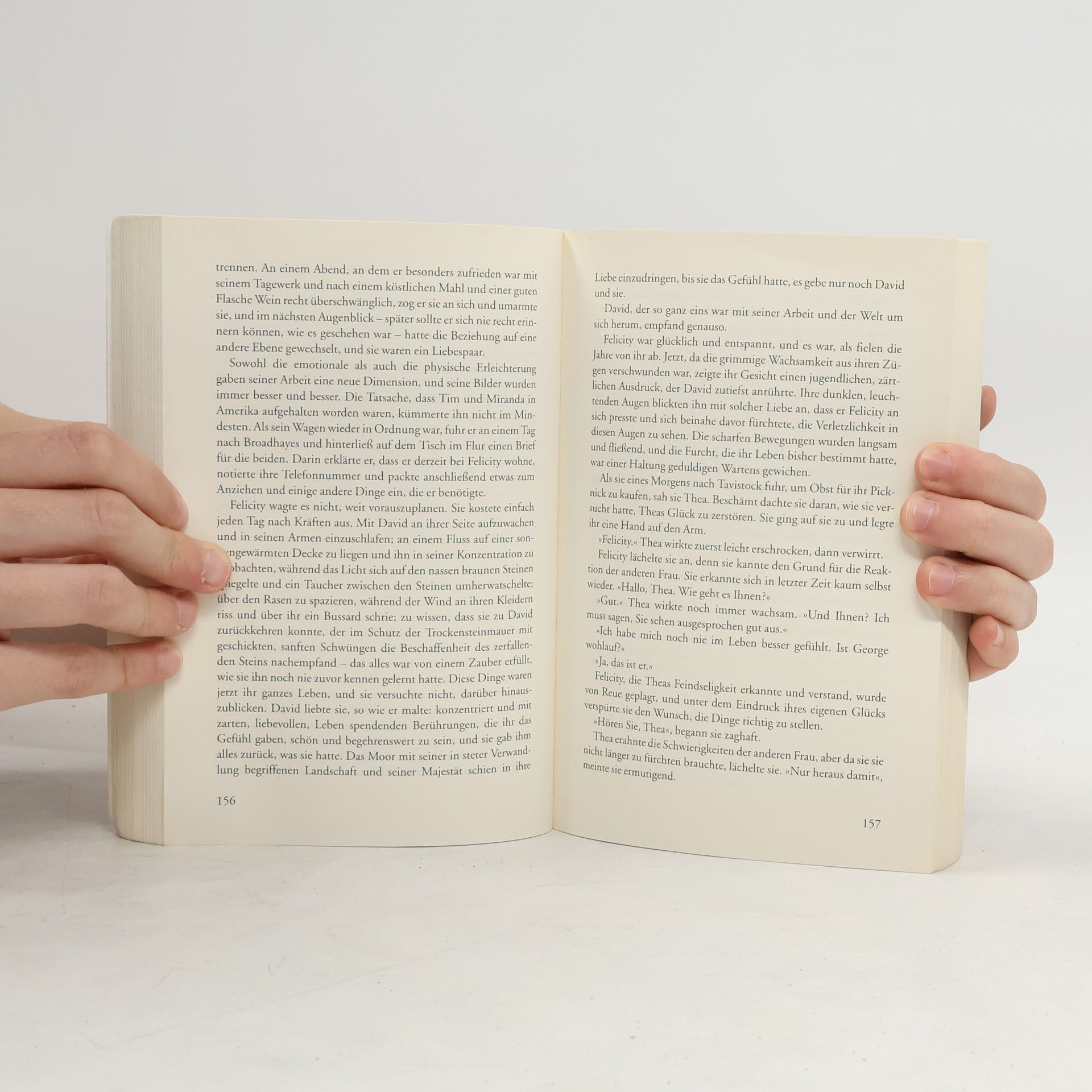 Marcia Willett Das goldene Licht des Himmels