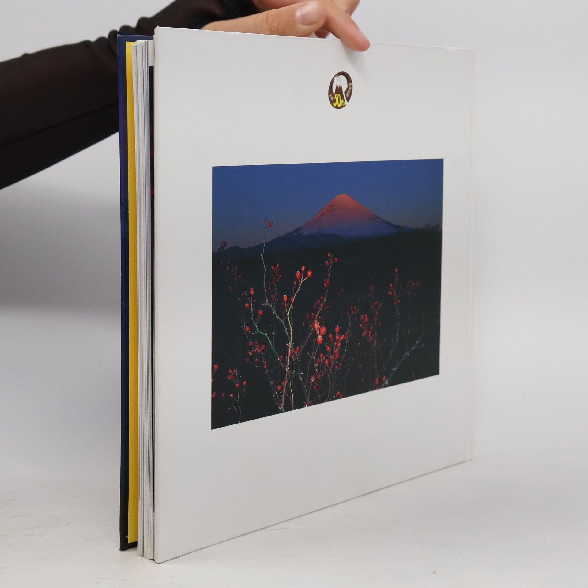 Kolektív autorov 富士山