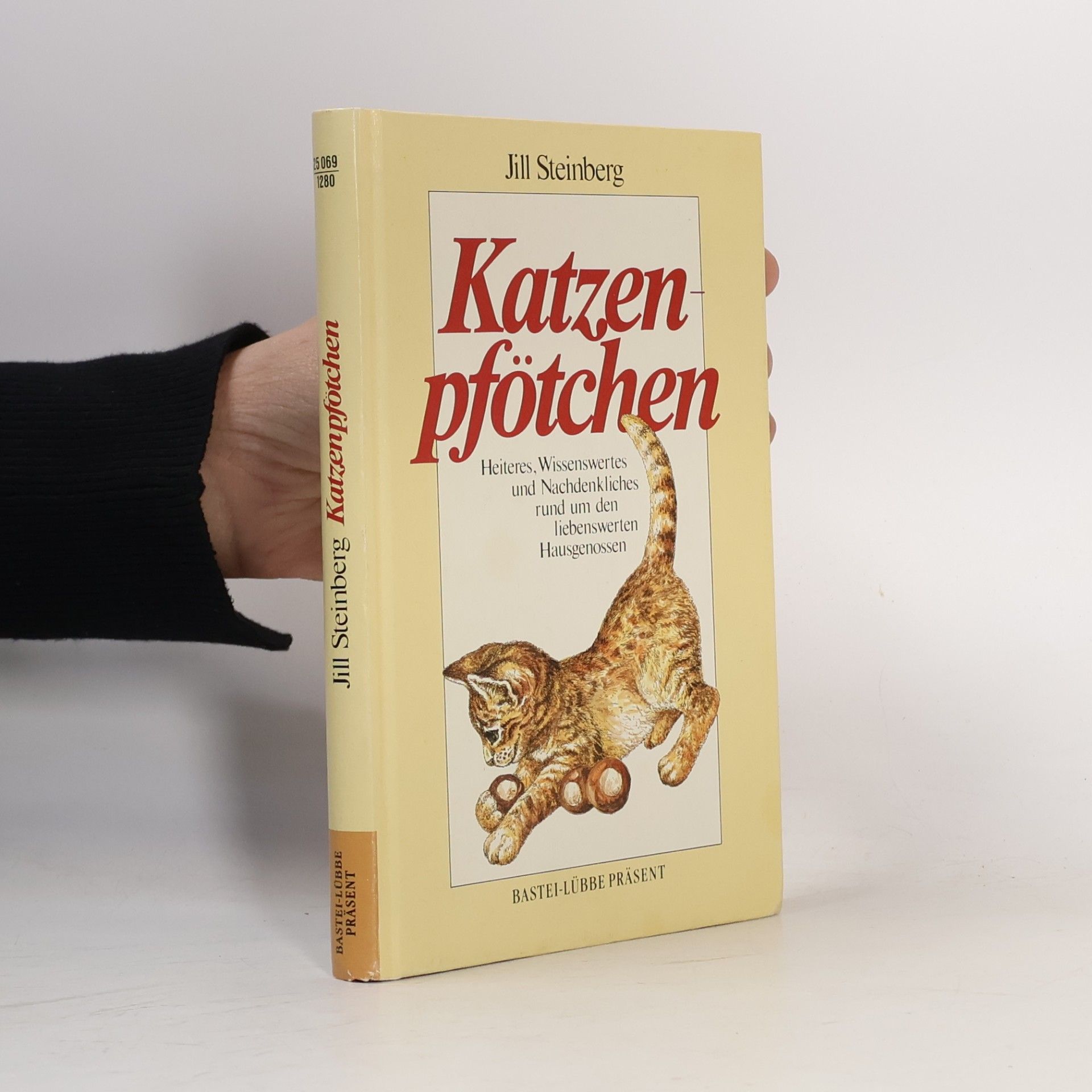 Katzenpfötchen
