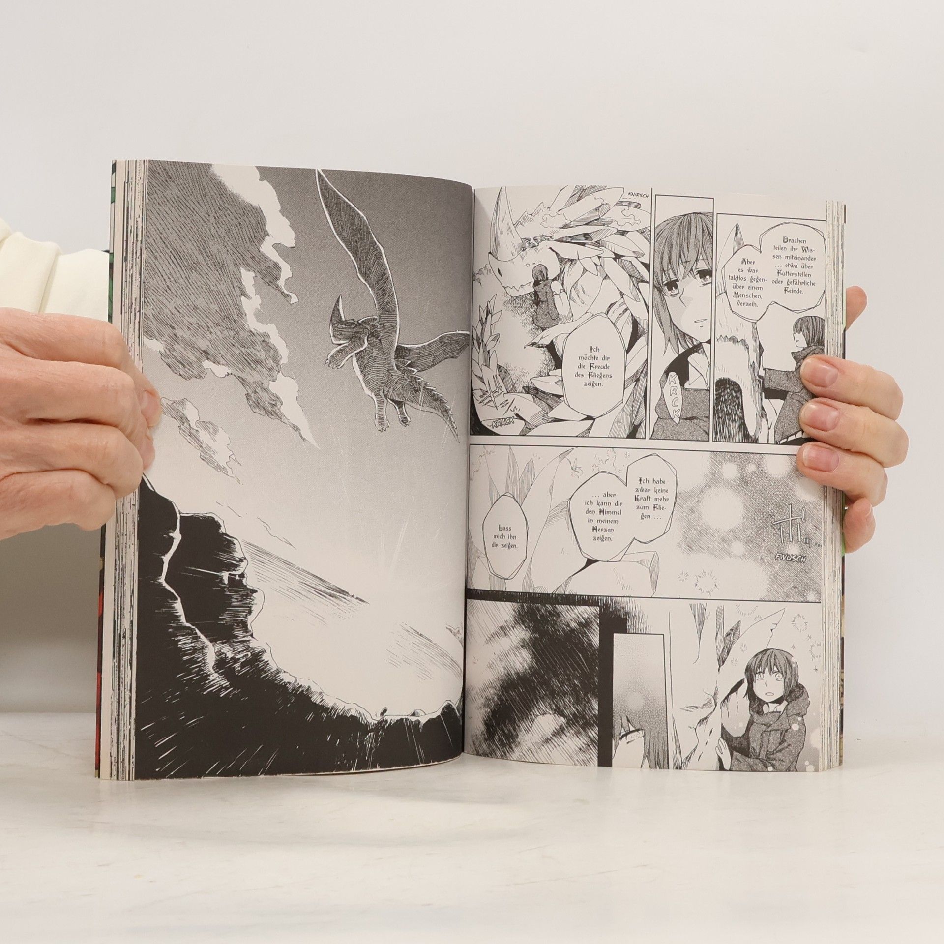 Kore Yamazaki Die Braut des Magiers 1