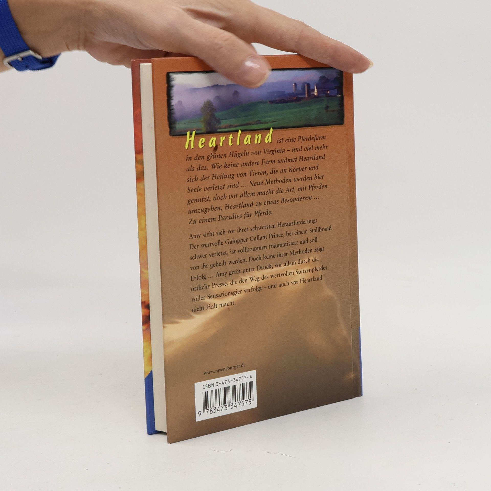 Lauren Brooke Heartland. Paradies für Pferde. Bd.7