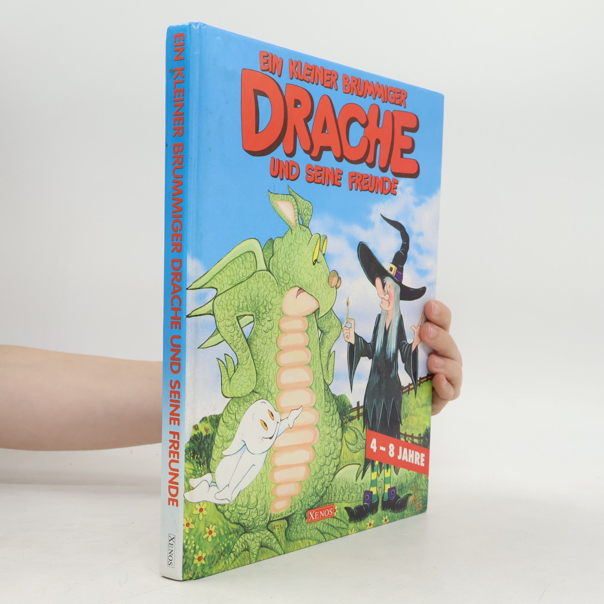 Ein kleiner brummiger Drache und seine Freunde