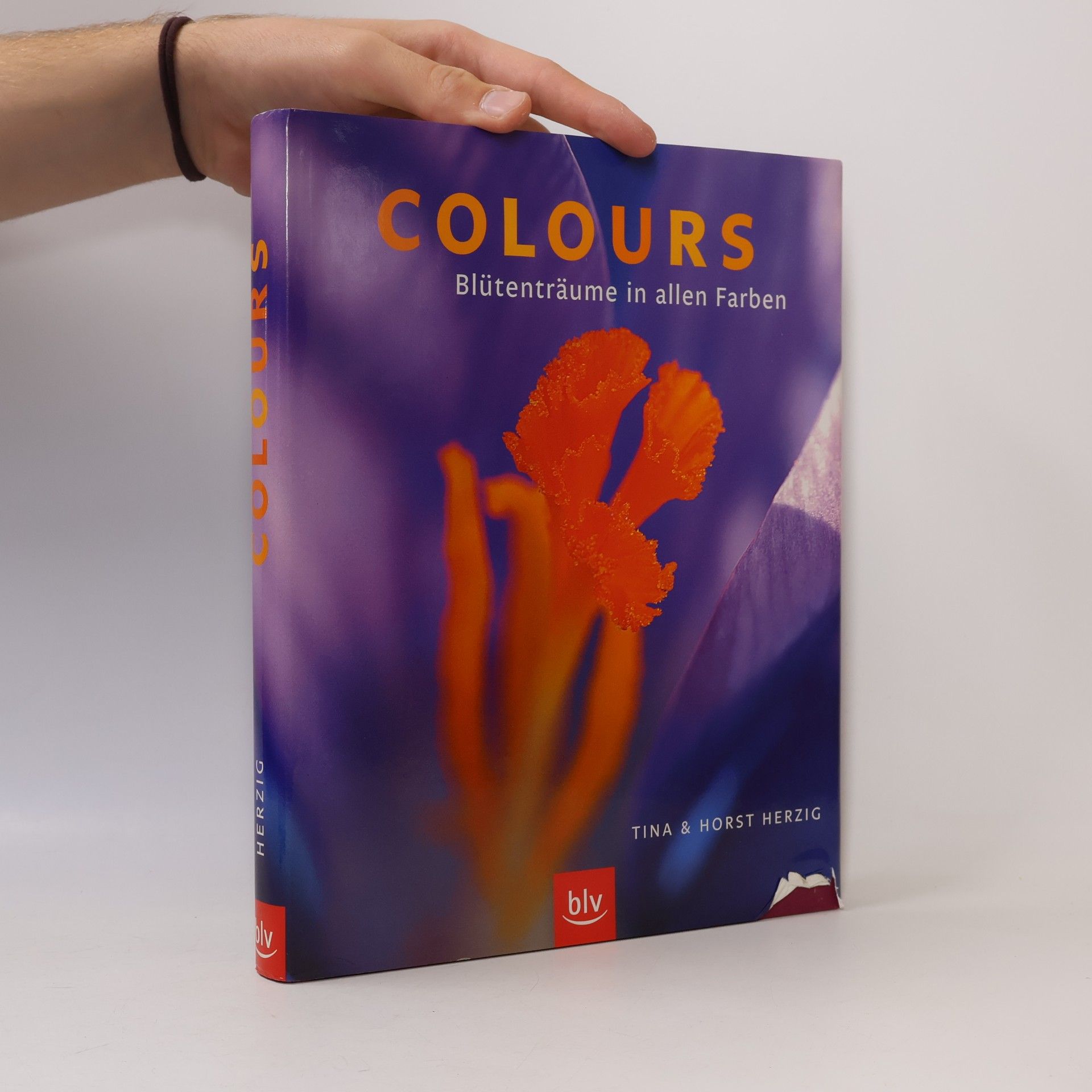 Colours
