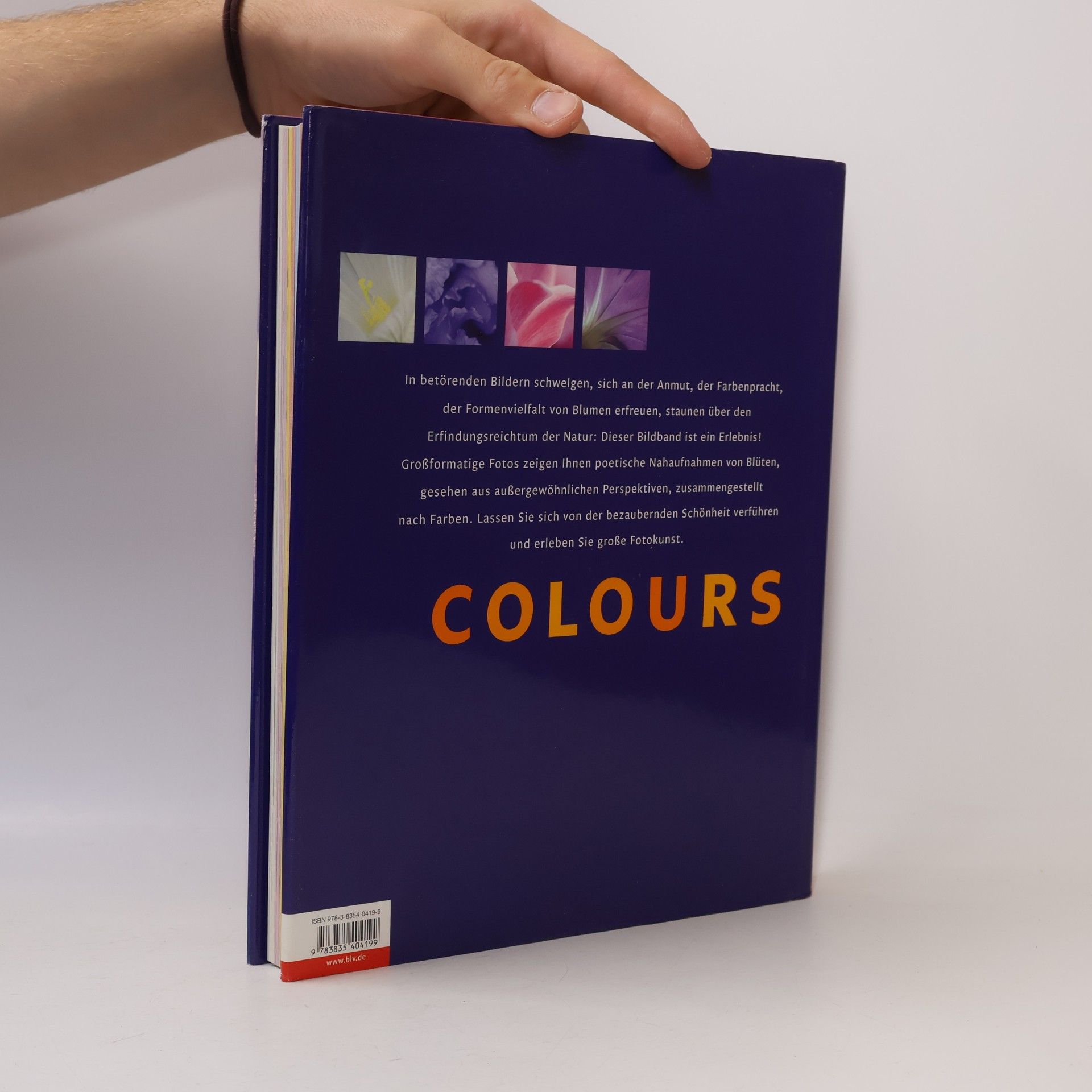 Tina Herzig Colours