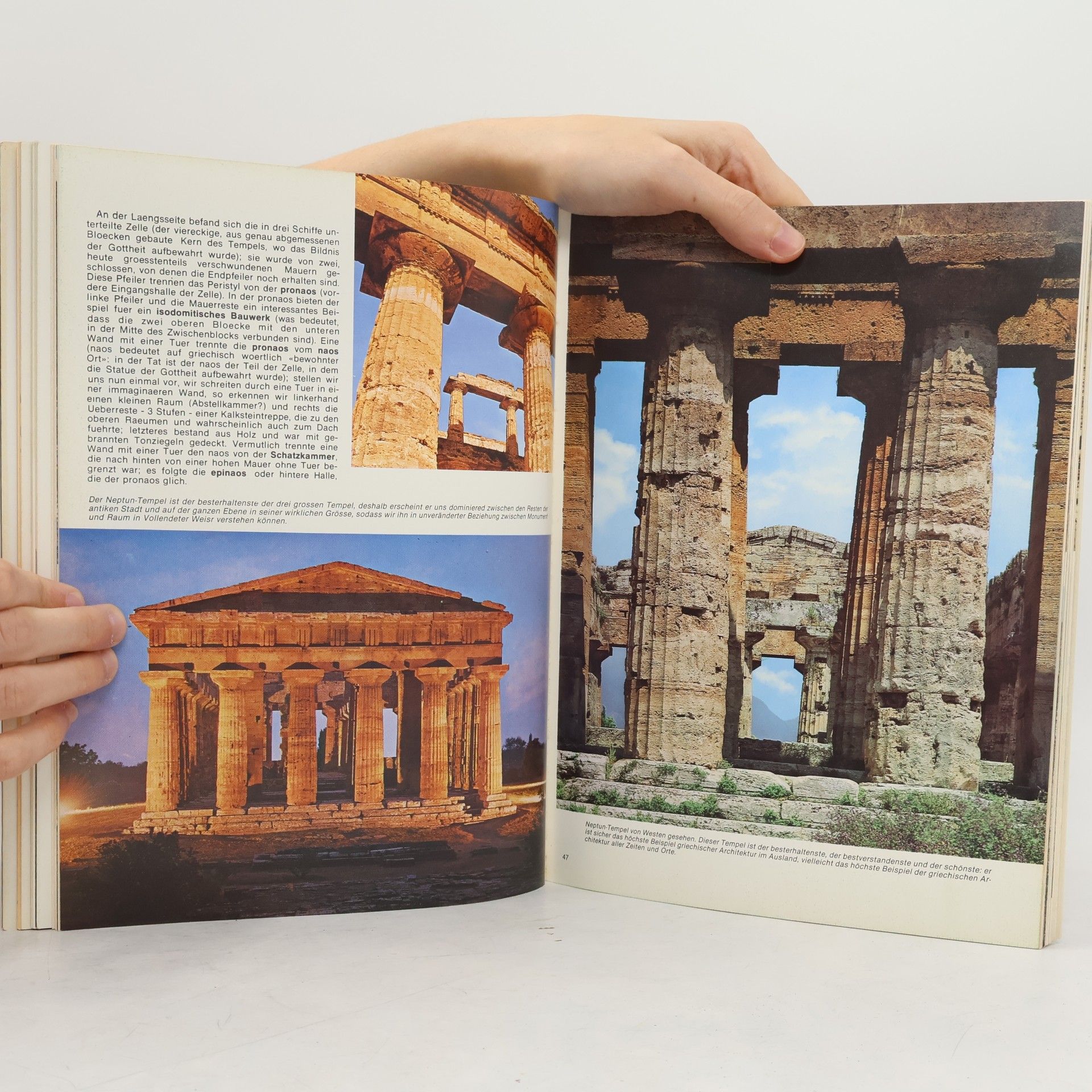 Autorenkollektiv Paestum und Velia