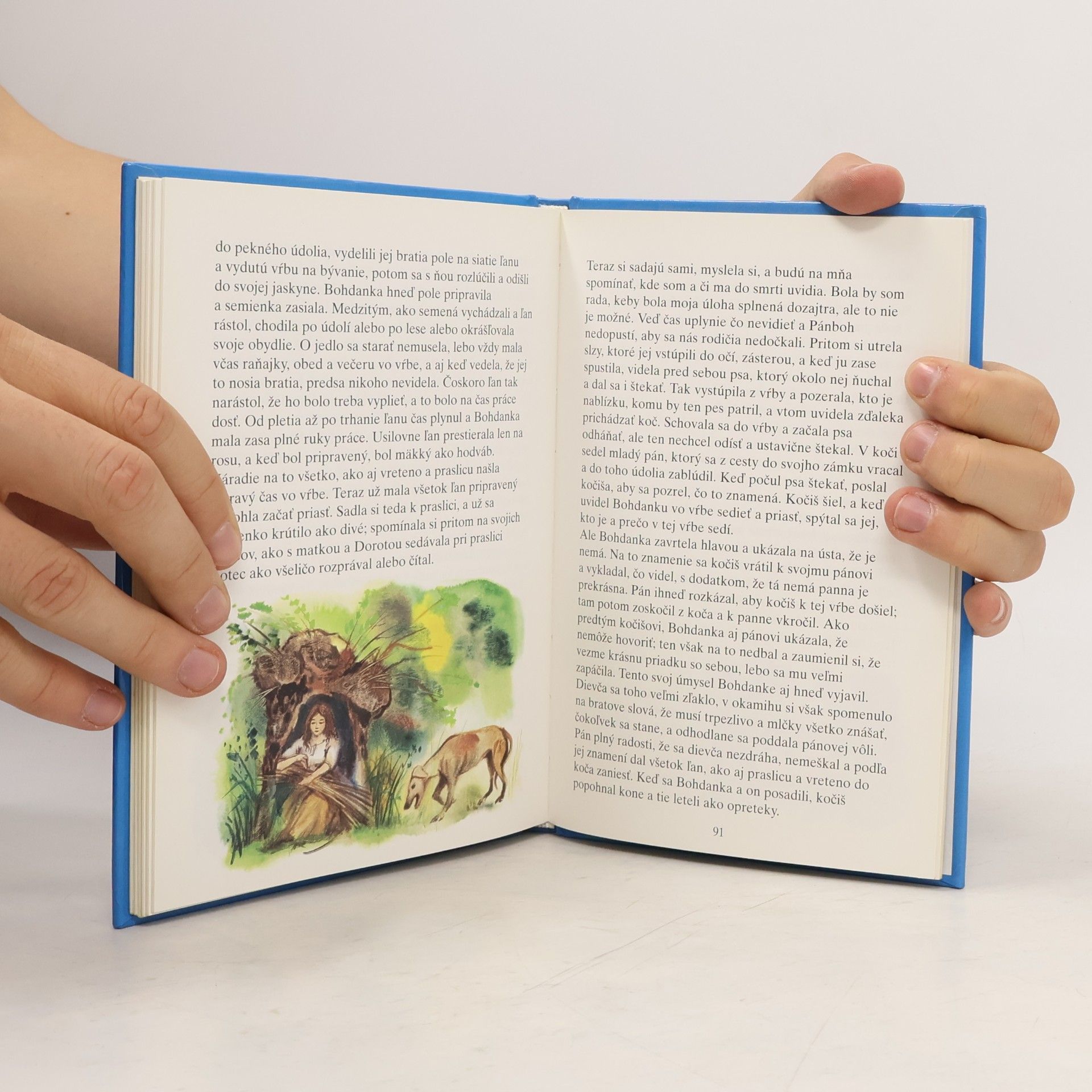 Autorenkollektiv Slovenské a české rozprávky