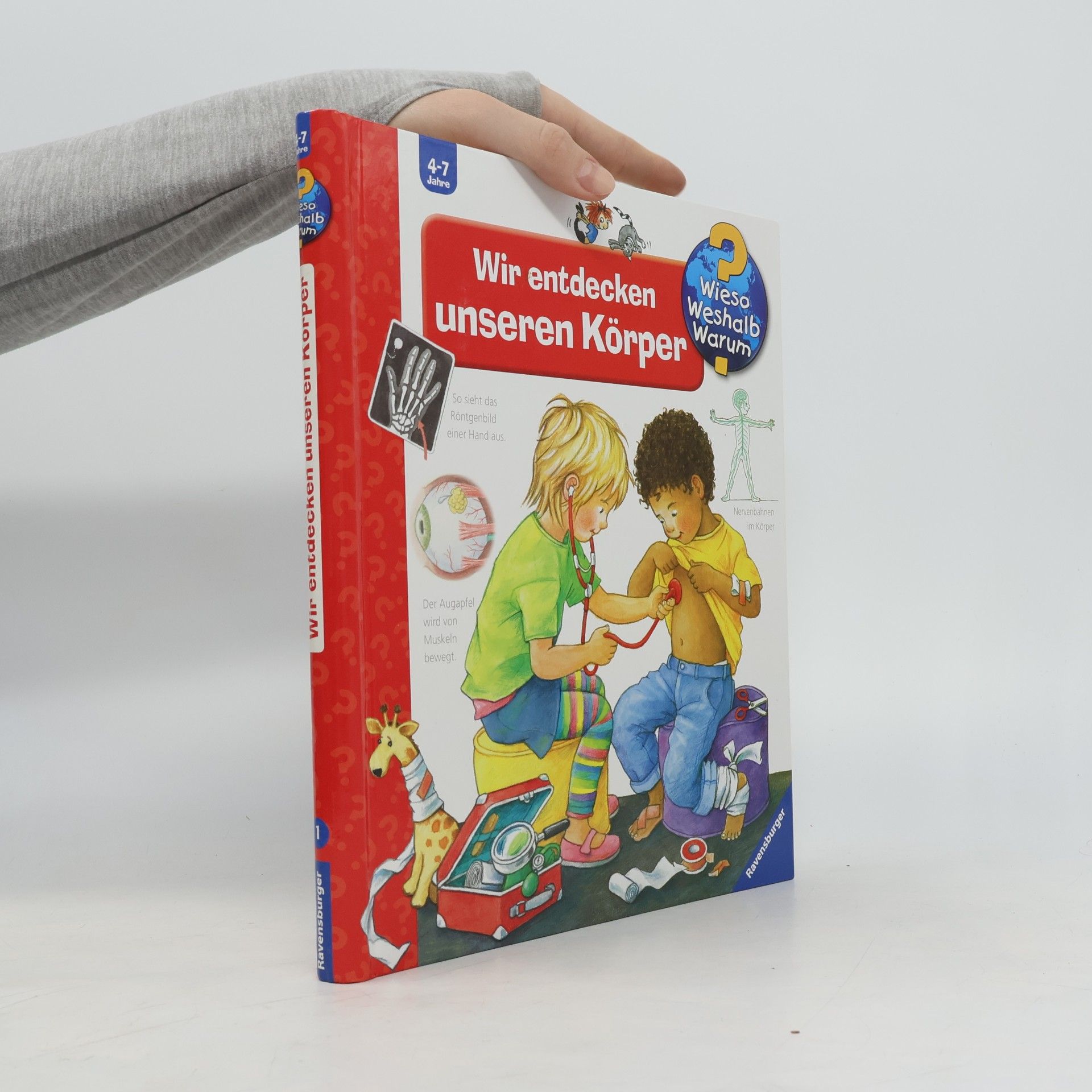 Autorenkollektiv Wir entdecken unseren Körper