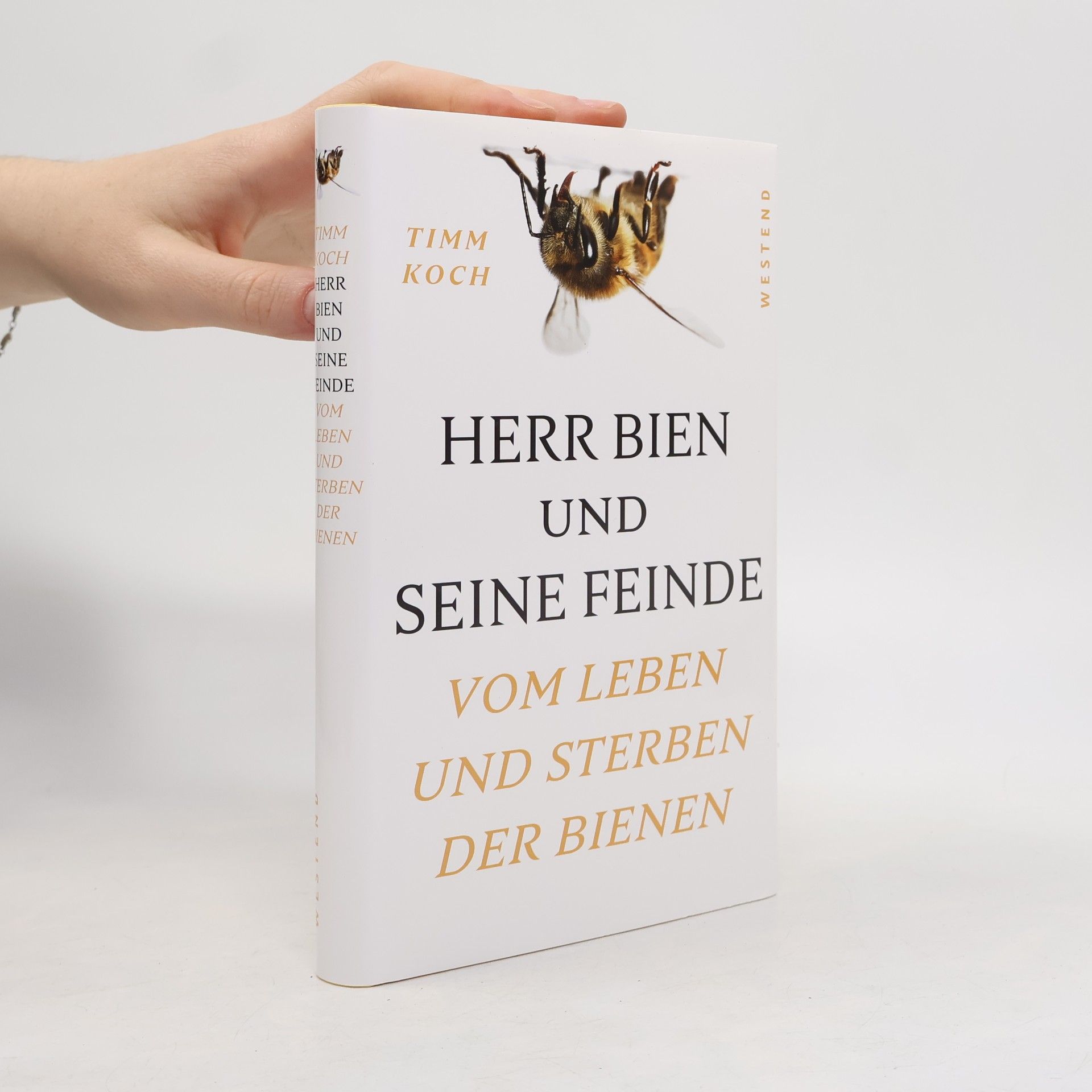 Herr Bien und seine Feinde