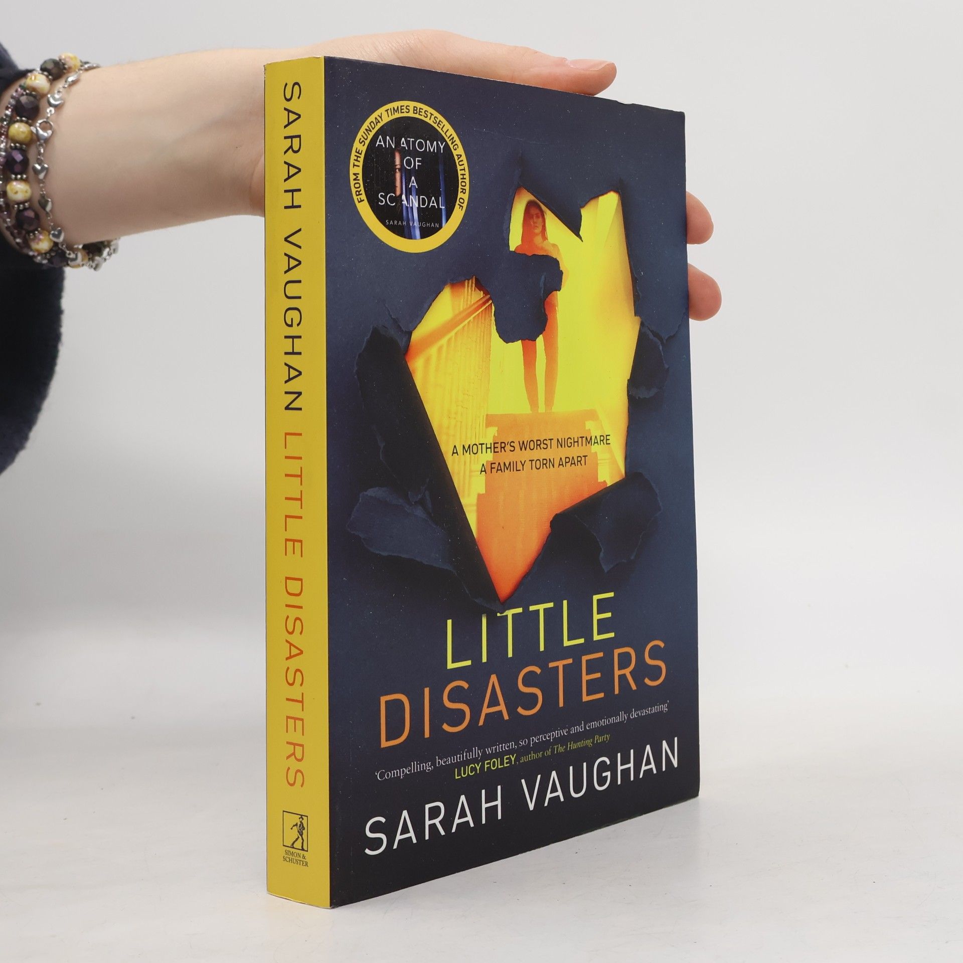 Little Disasters : from the bestselling author of Anatomy of a Scandal