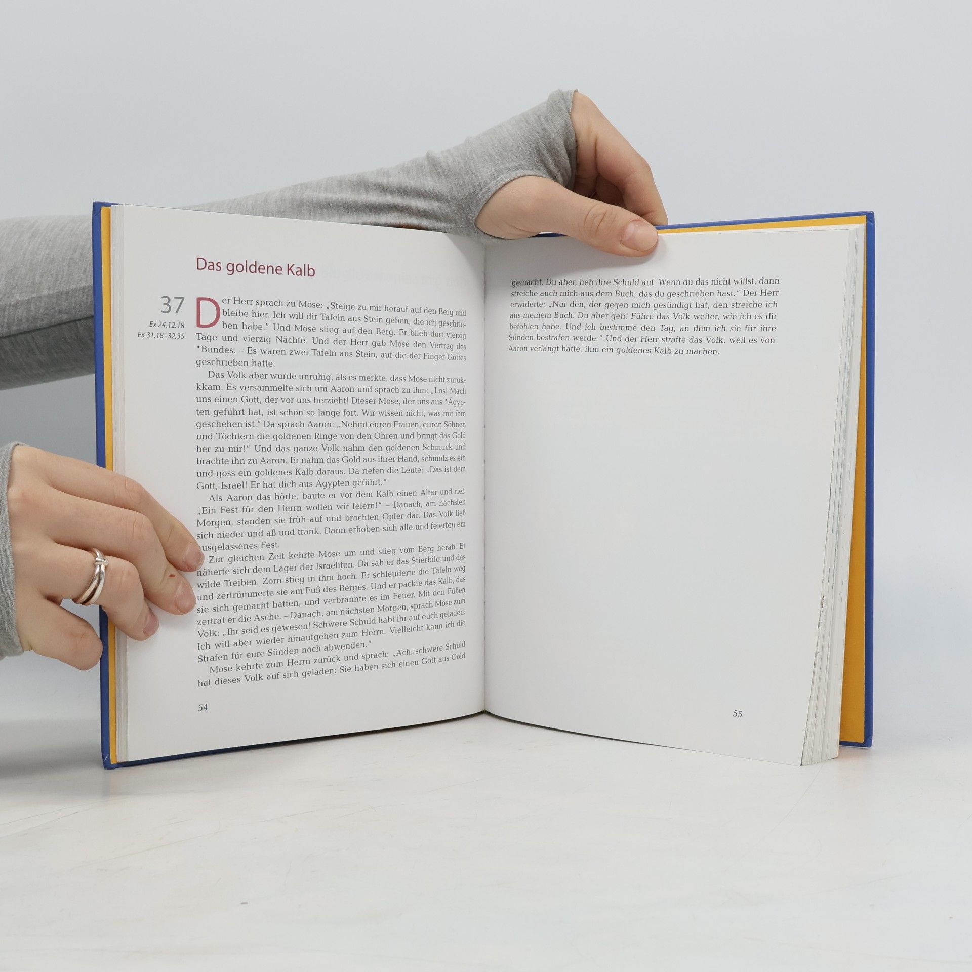 Meine Schulbibel (Oldenbourg): Bibel
