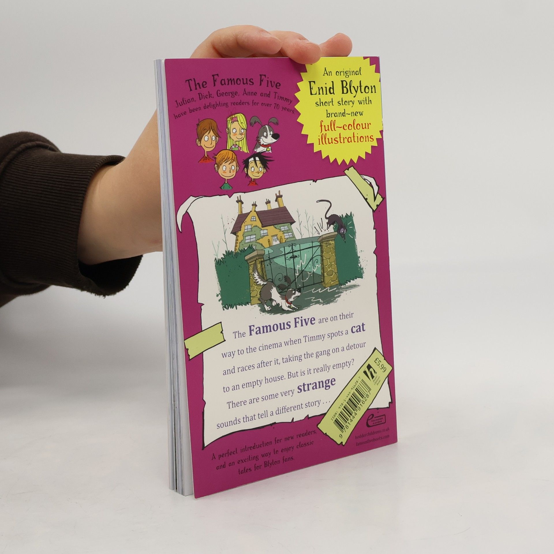 Enid Blyton Famous Five Colour Short Stories: When Timmy Chased the Cat