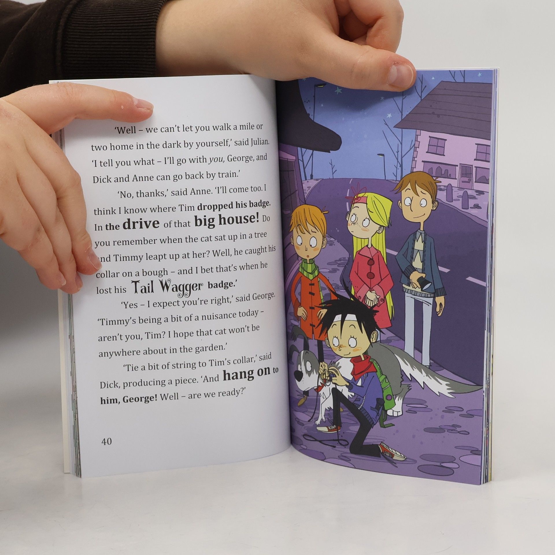 Enid Blyton Famous Five Colour Short Stories: When Timmy Chased the Cat