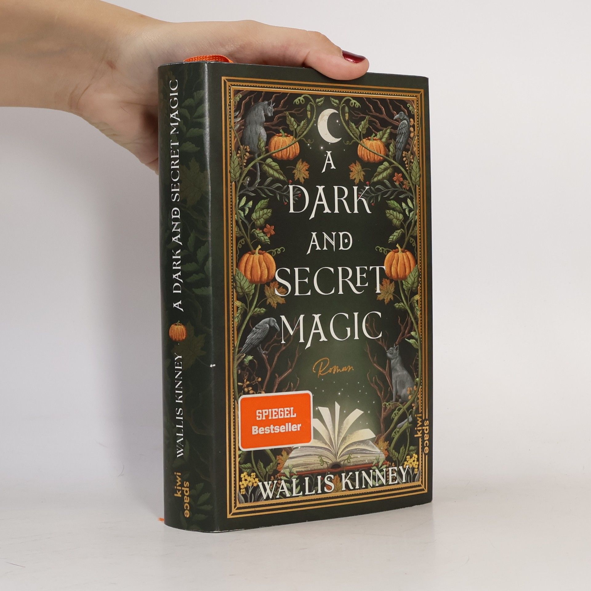 Wallis Kinney A Dark and Secret Magic